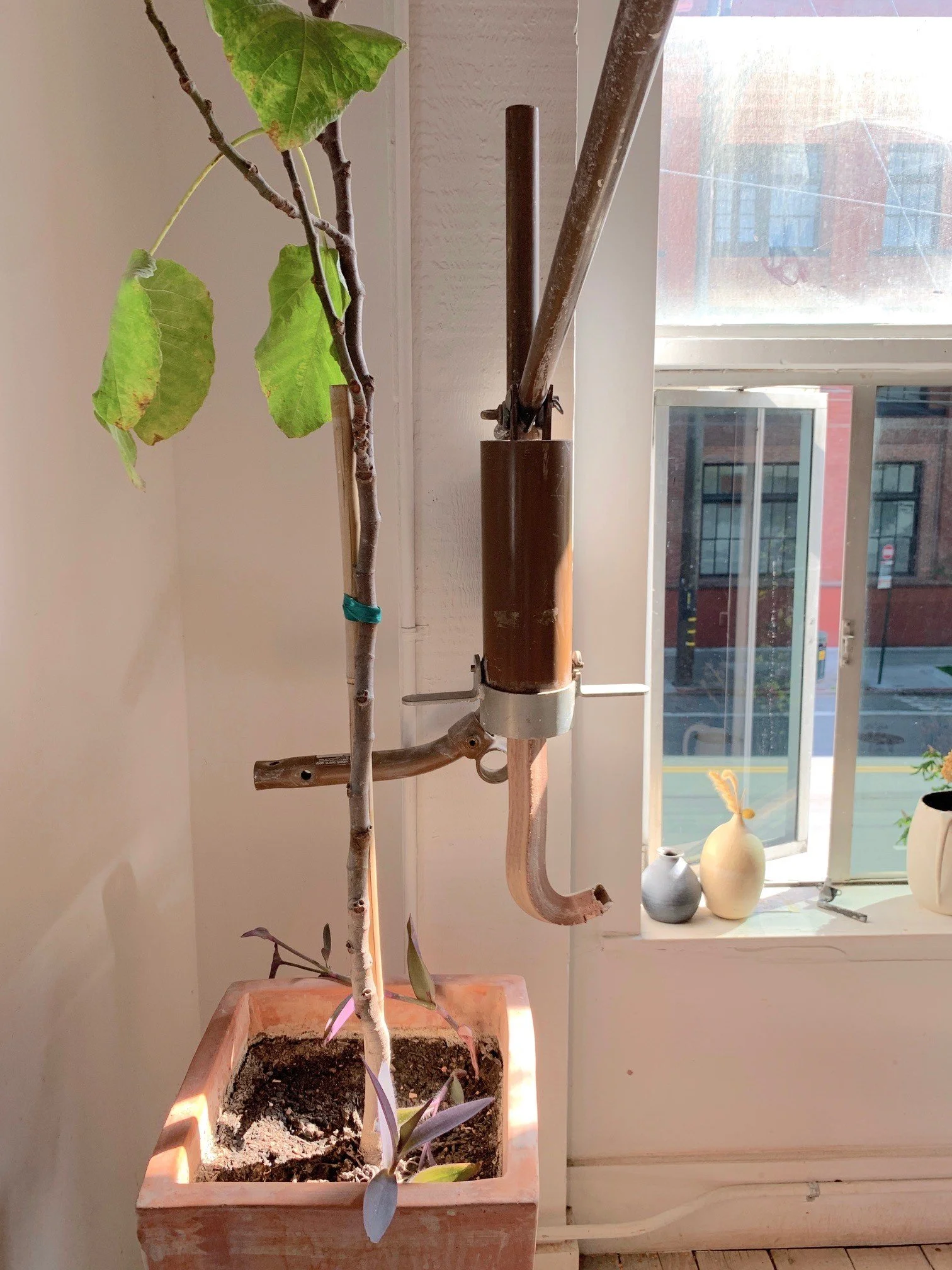Wall mounted extruder