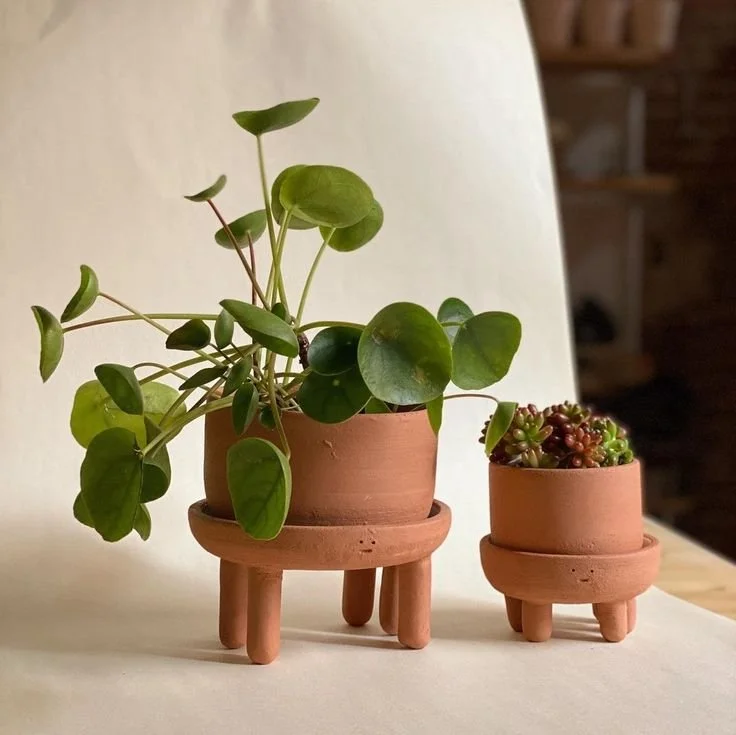 planter 3.jpg