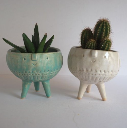 plant.png