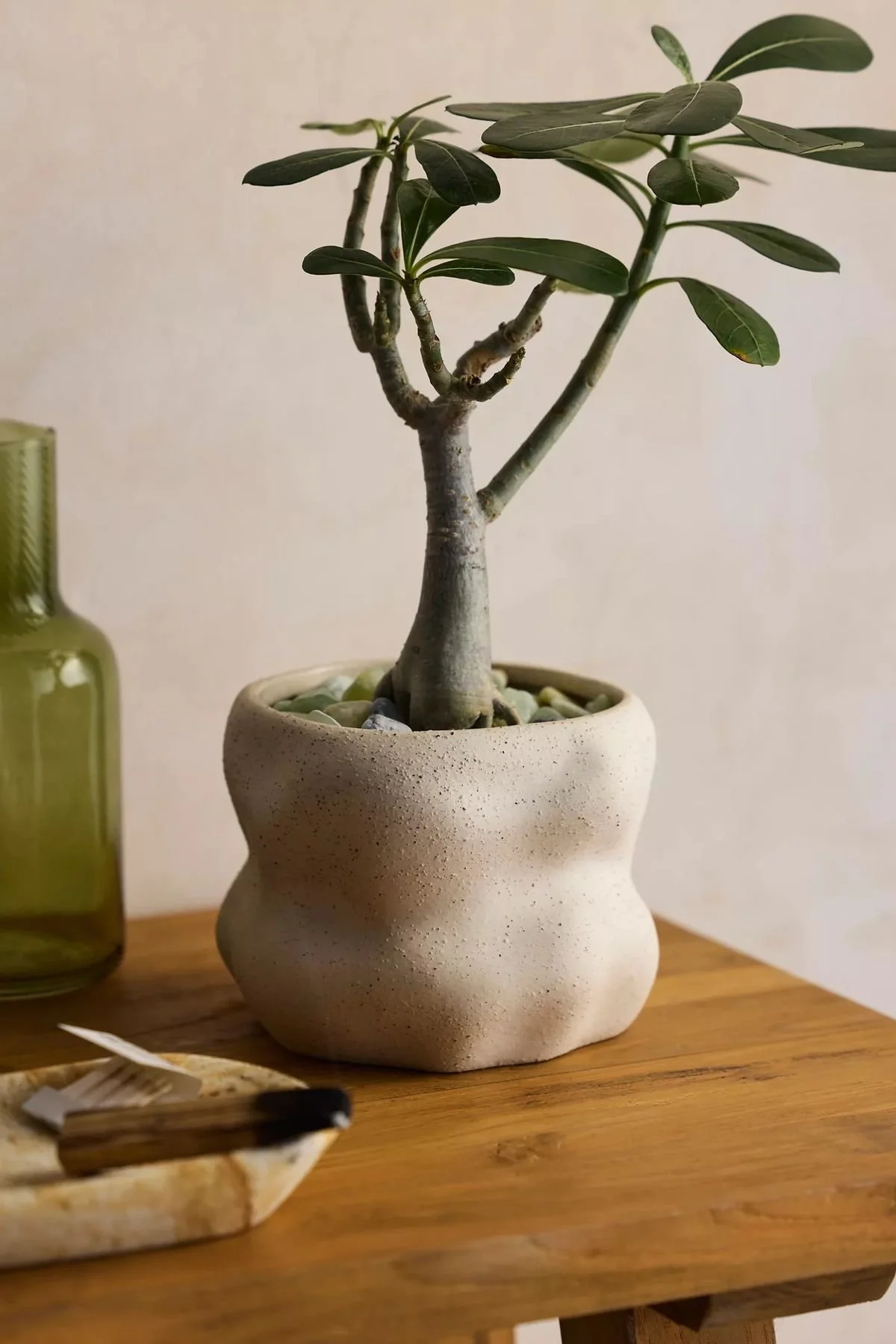 planter 5.jpg