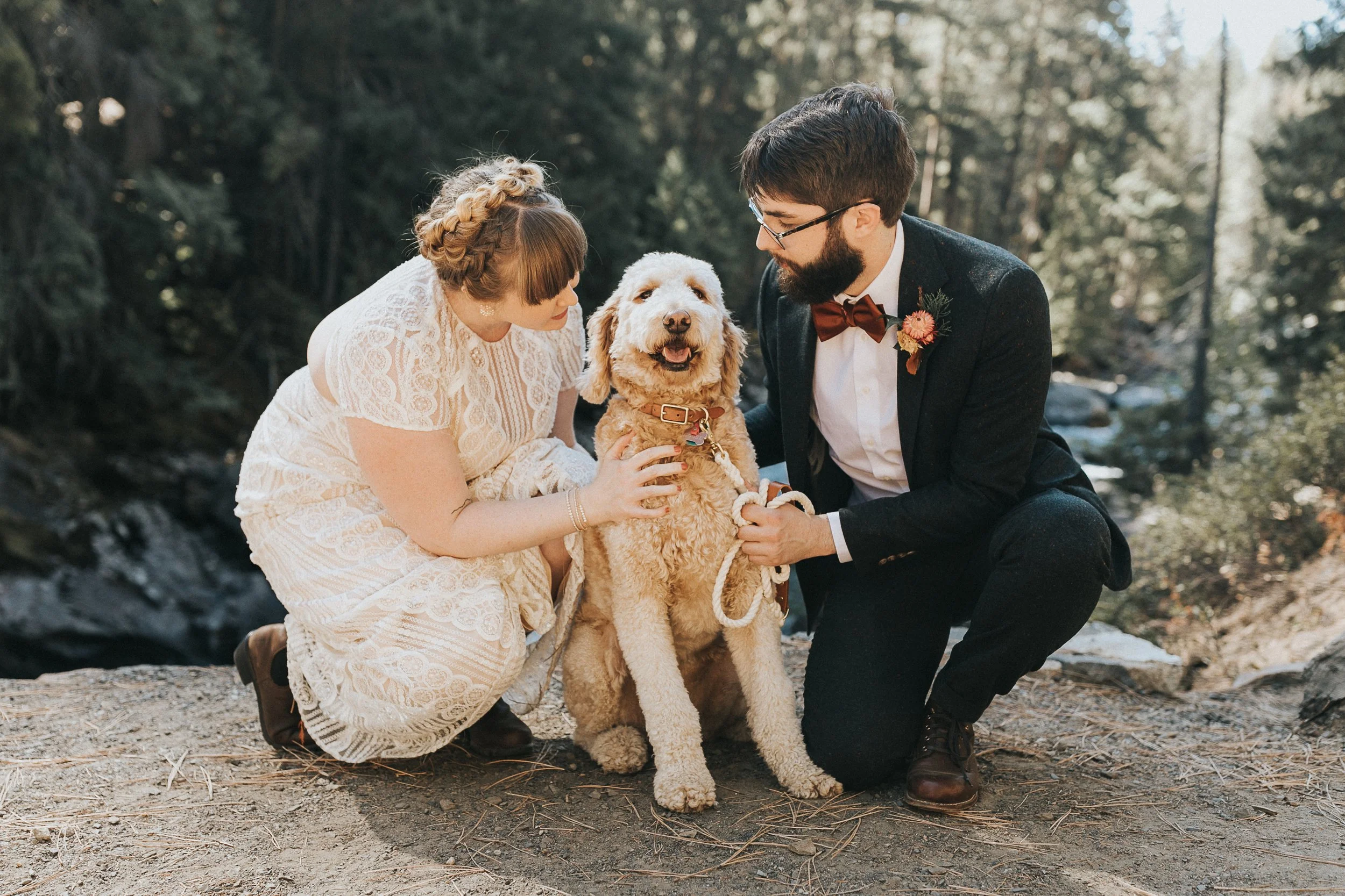 A bride and groom posing on a hike with their pup!