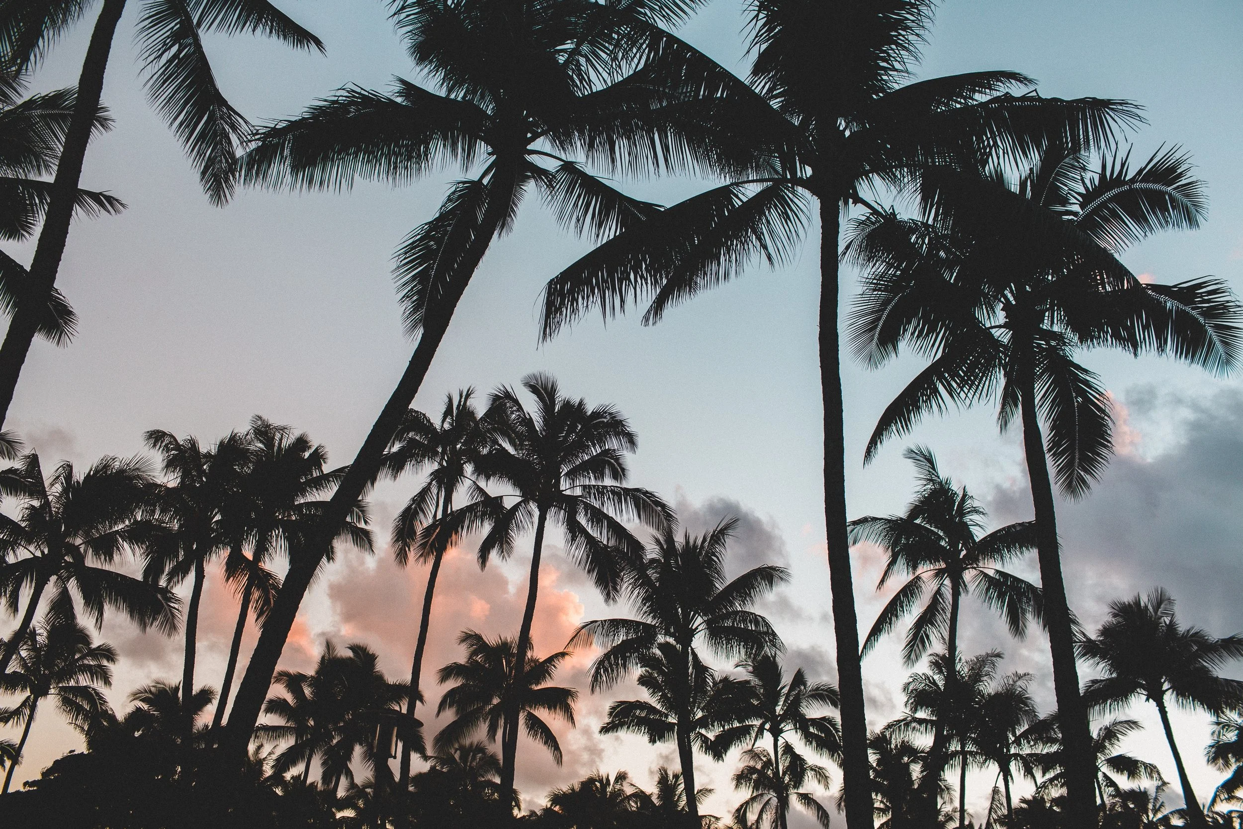 epicurrence-64532-unsplash.jpg