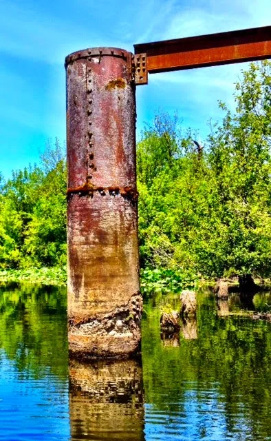 Beauty is a Bridge to Metaphor