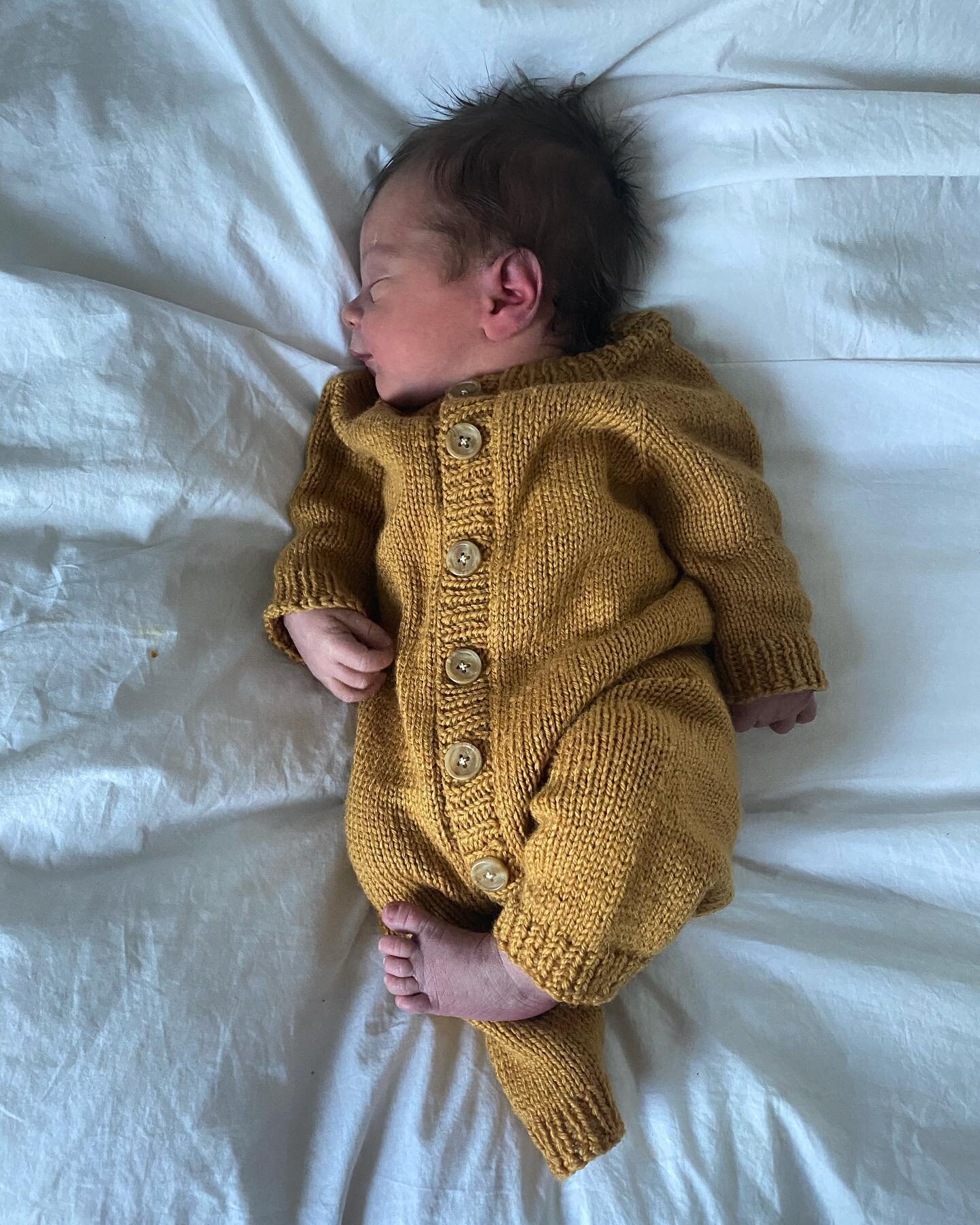 We had a baby 💙 Dolev Blue, born at home on 2.27.22. Taking some time away from Instagram but still stocking shelves with fresh hummus and tahini dip, starting seedlings for the approaching growing season, and booking events for 2023! Thanks to our 
