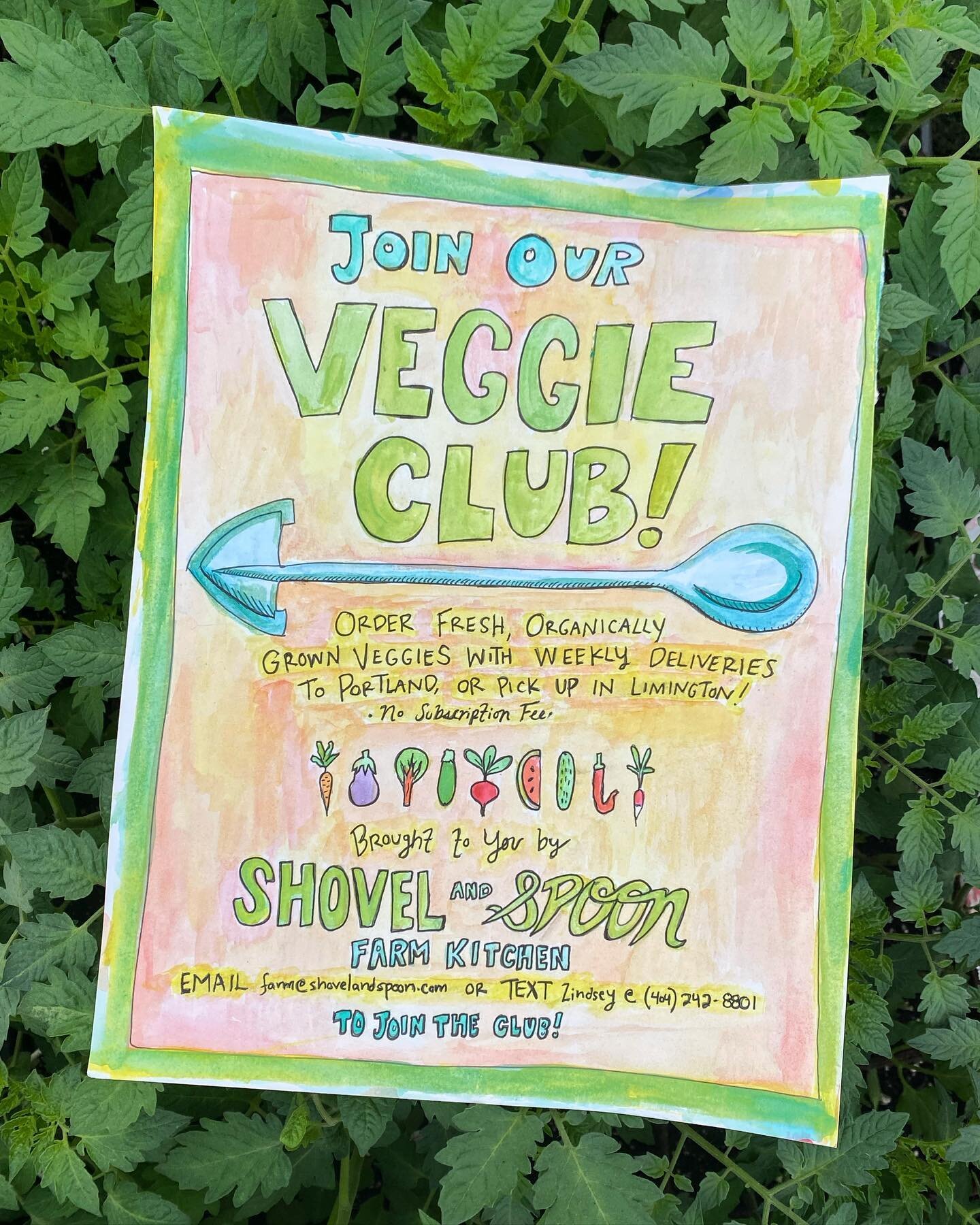 Friends! Looking for fresh, responsibly grown veggies to spruce up your summer meals? Join our Veggie Club! Order *whatever you want* with weekly pick up options in Portland or Limington. Email farm@shovelandspoon.com for more info or to join the clu