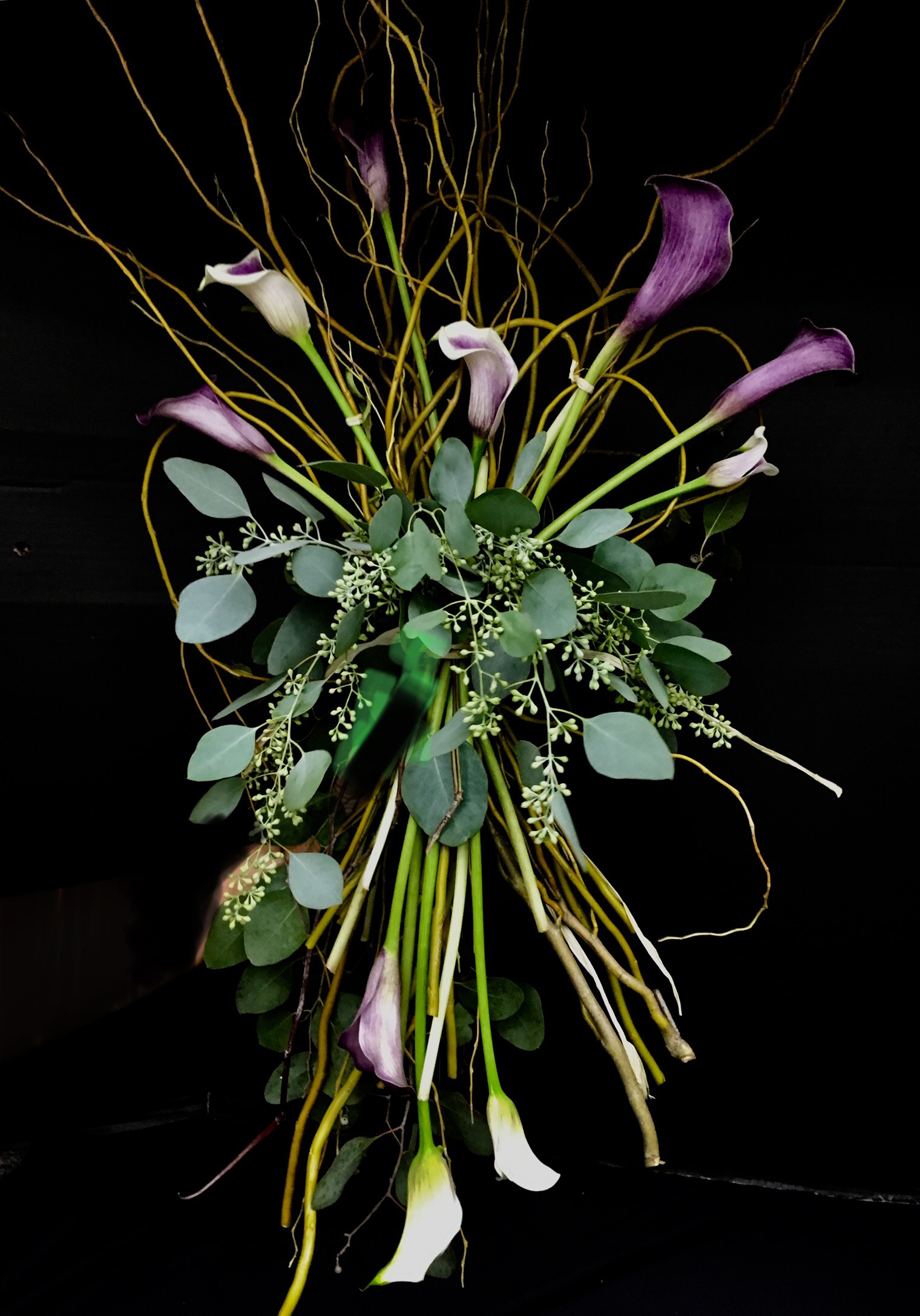 IMG_1098 copy.jpg