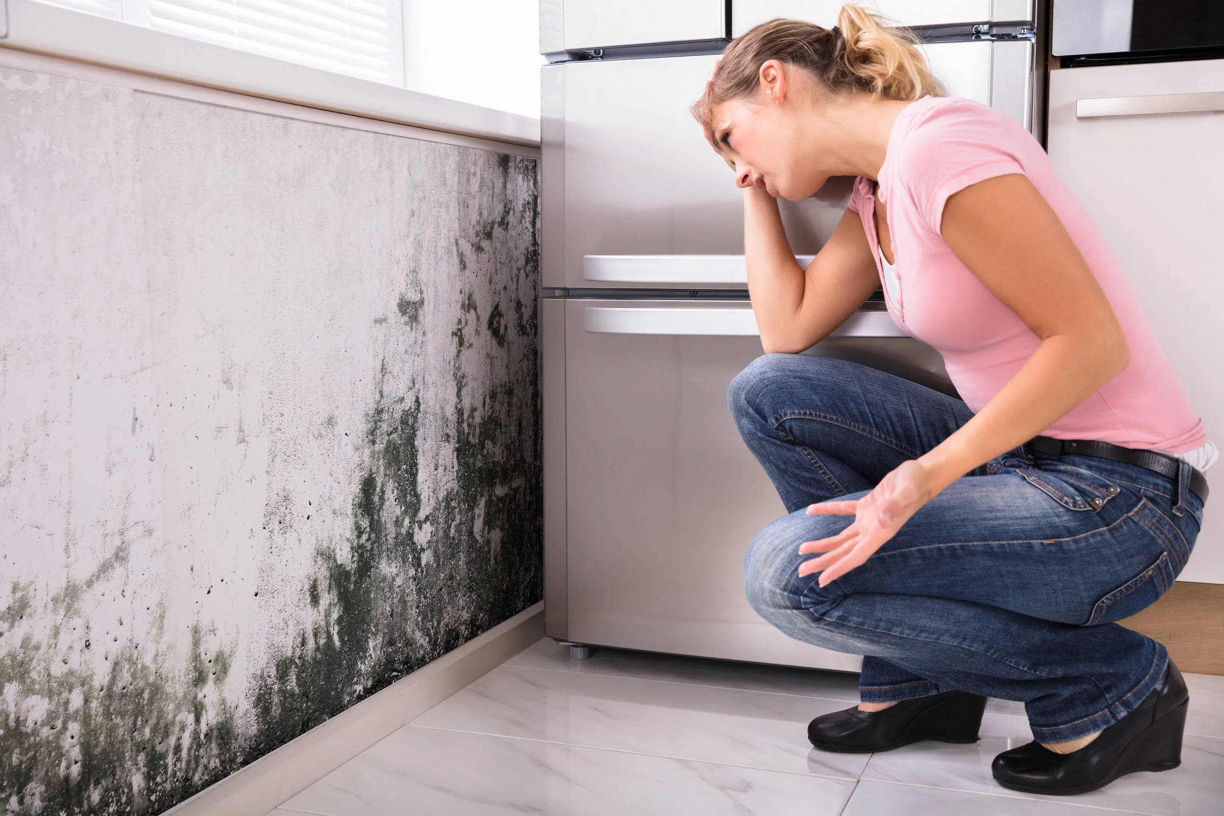 iStock-917892732.jpg