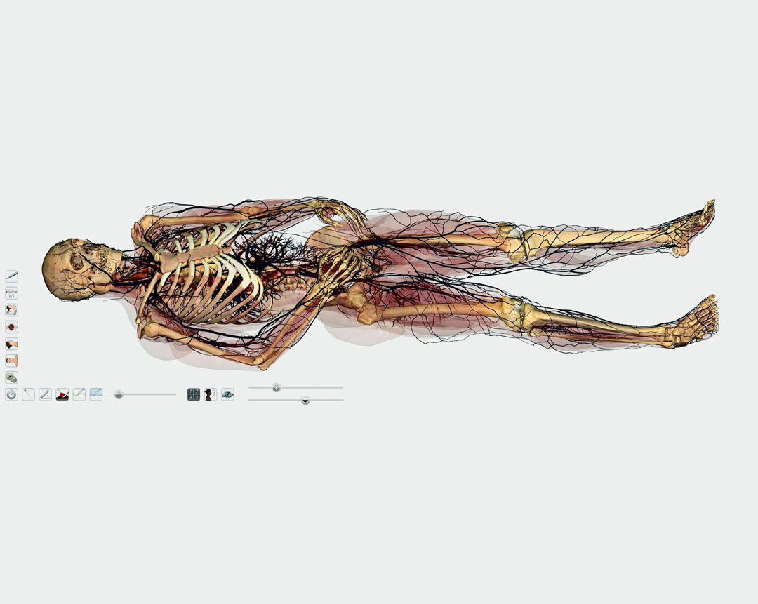 123-anatomage-iv.jpg