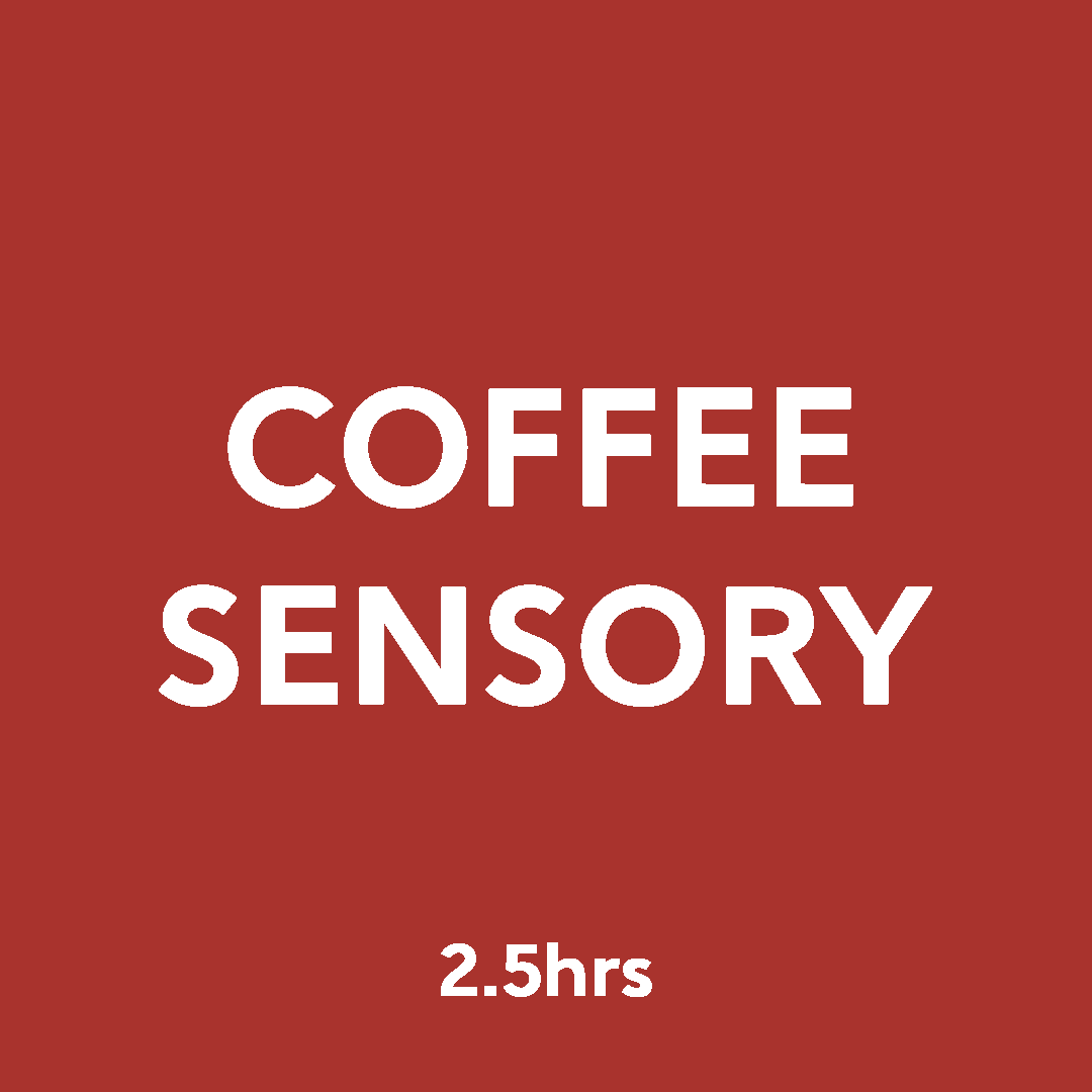 Coffee Sensory Foundations