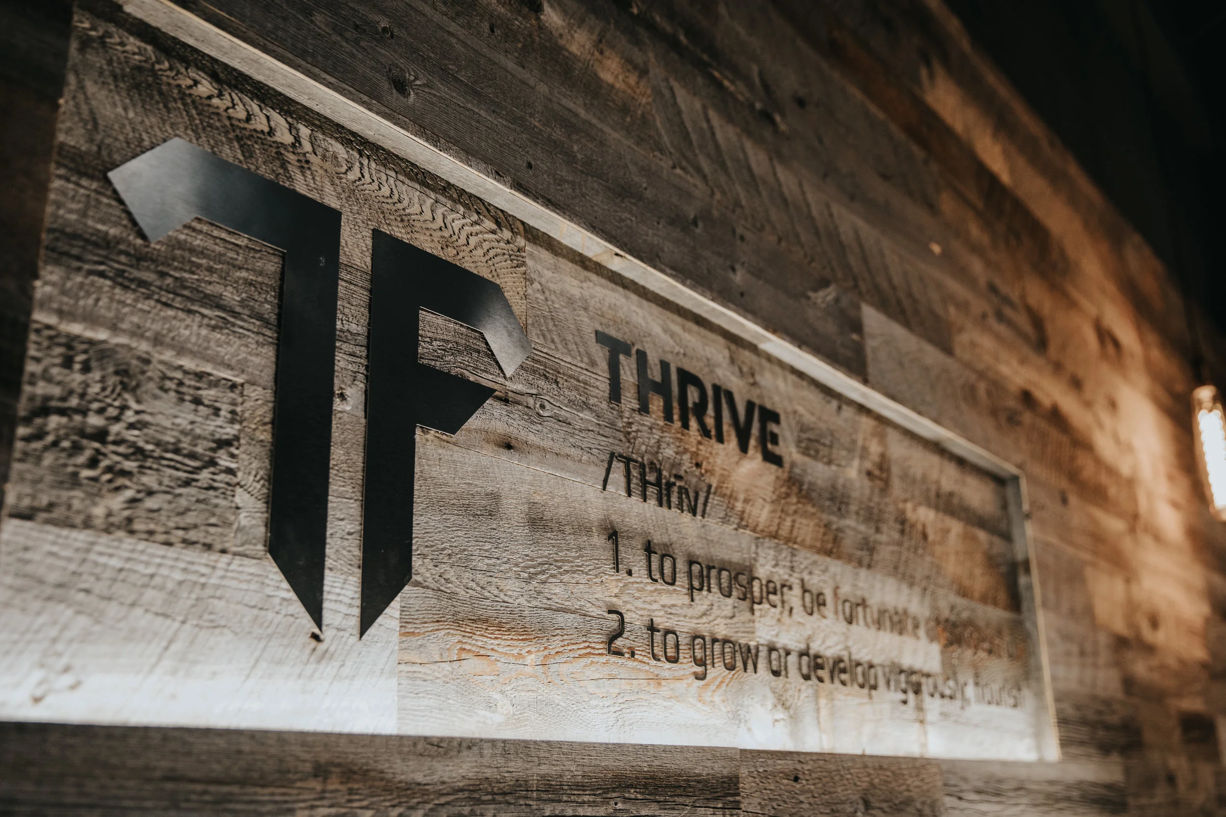 Thrive-Gym-Preview-7.jpg