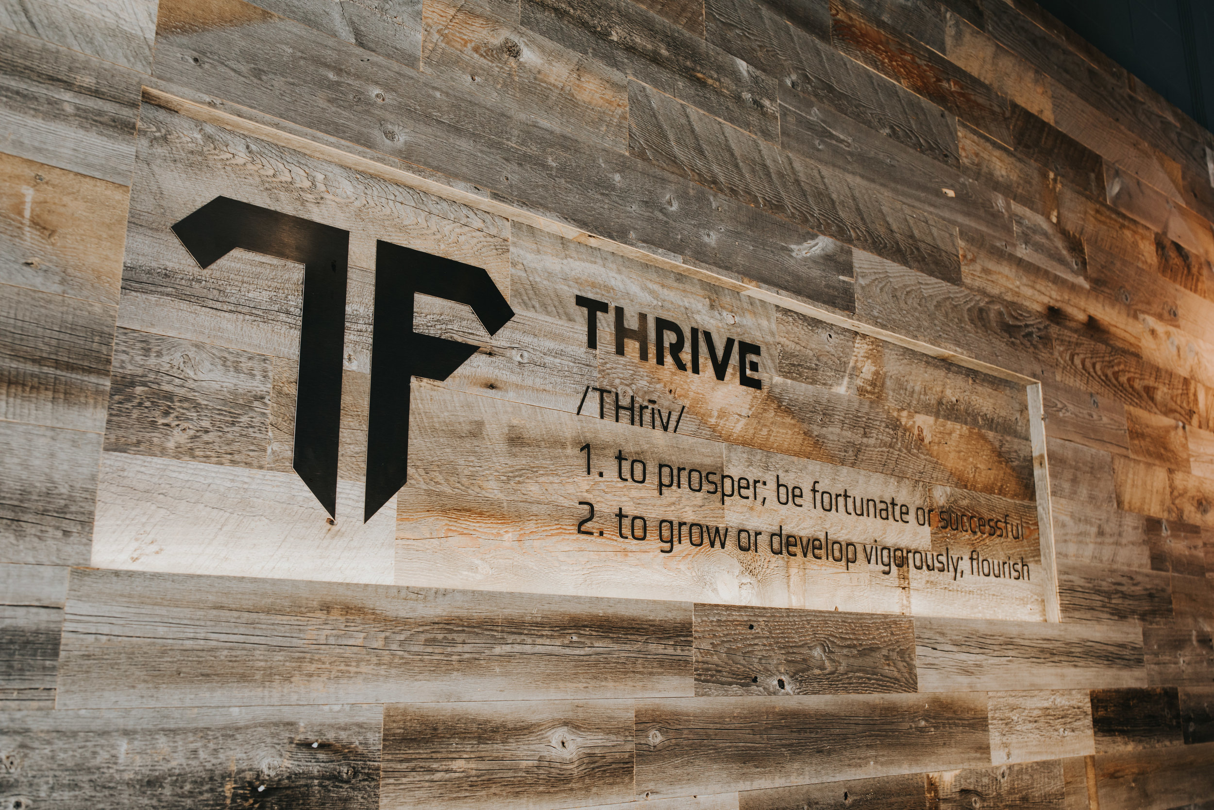 Thrive Definition.jpg