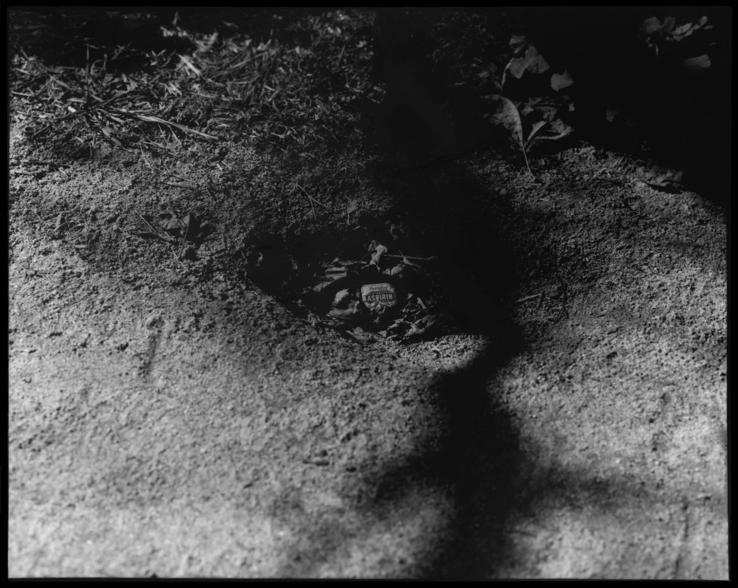 Contact_Sheet-1.jpg