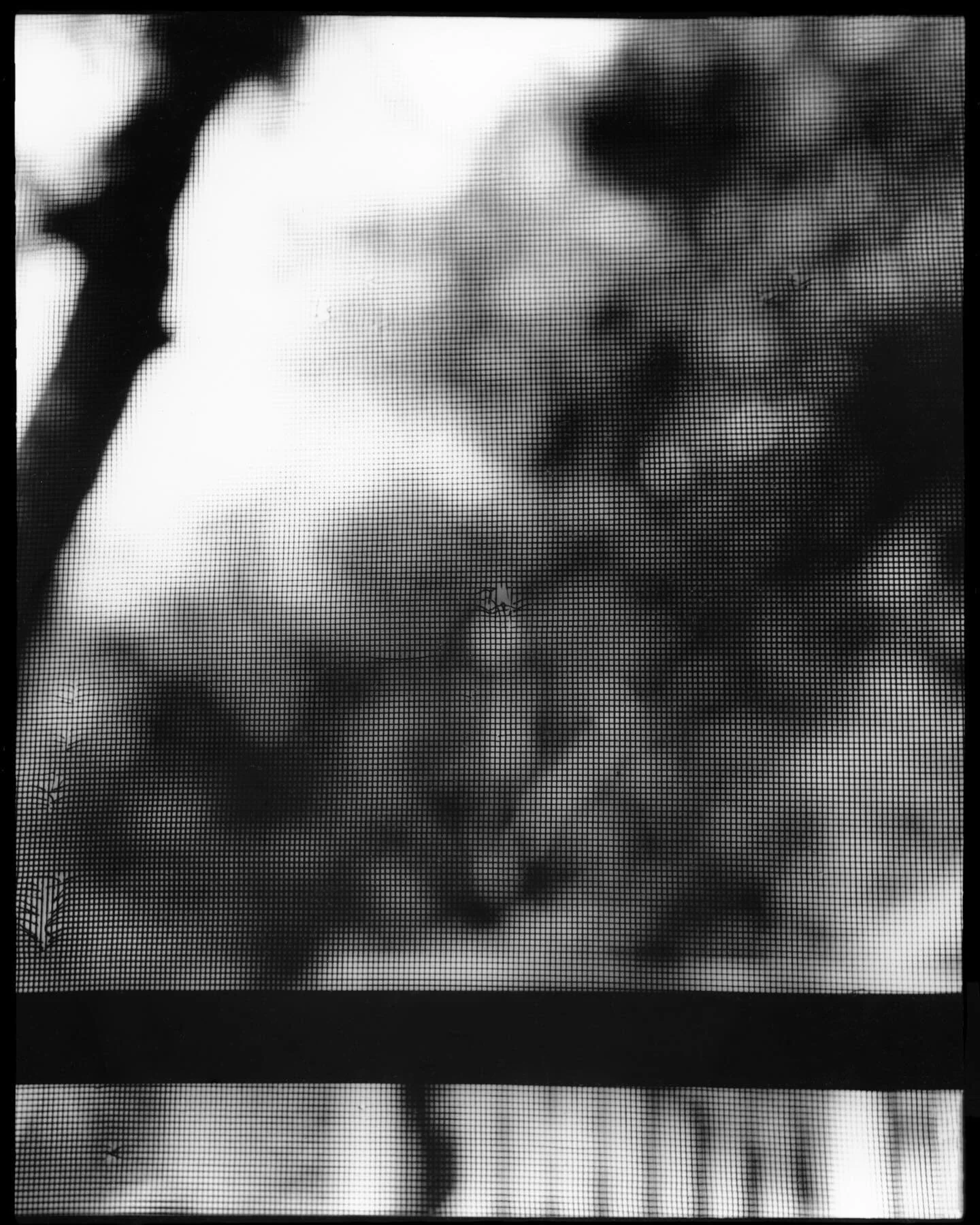 New work from the archive of last year ༒
Untitled, 2023.