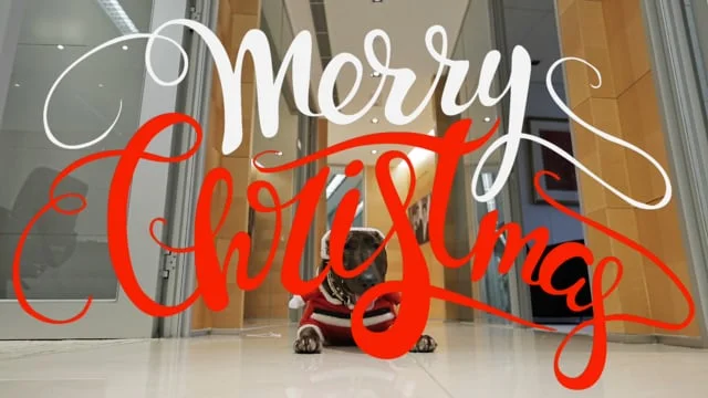 Heidrick & Struggles -- Merry Xmas Video card