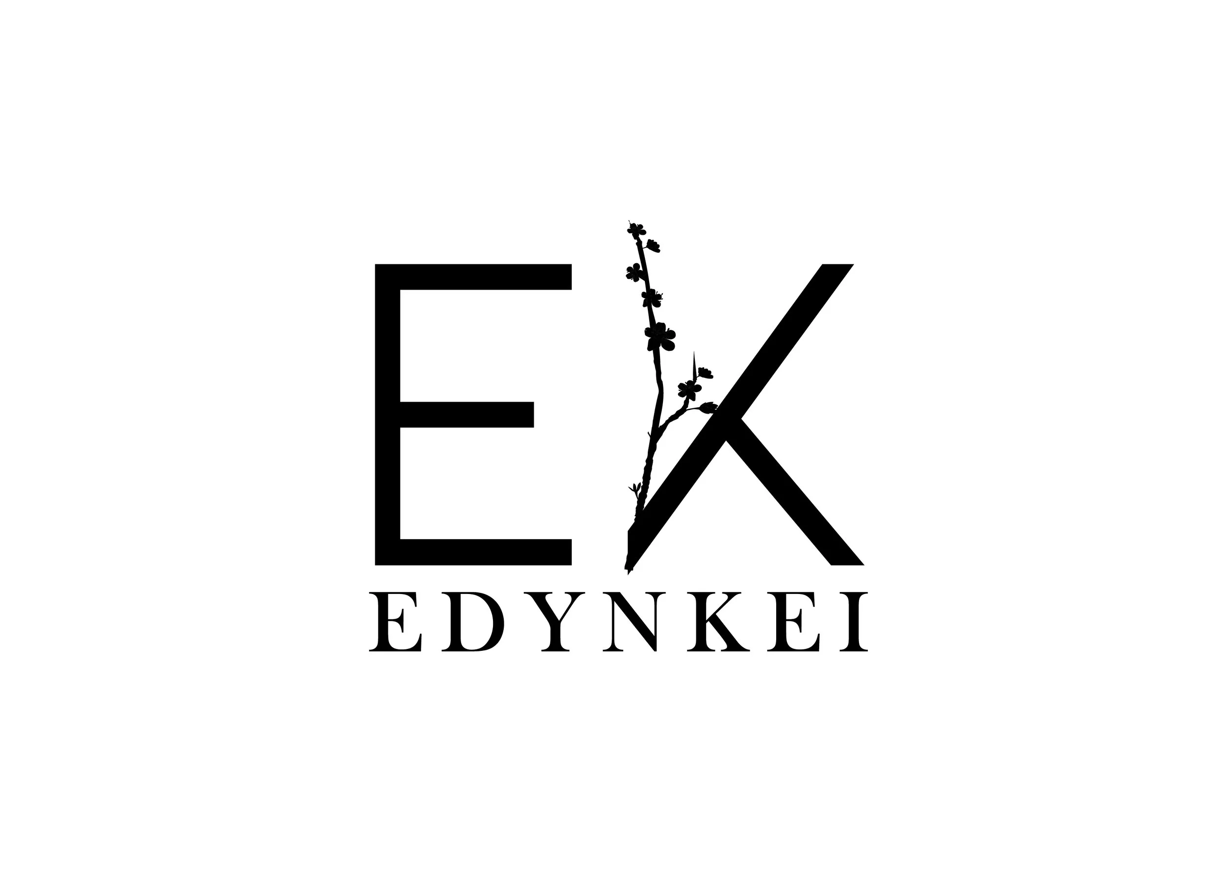 ek_301.jpg