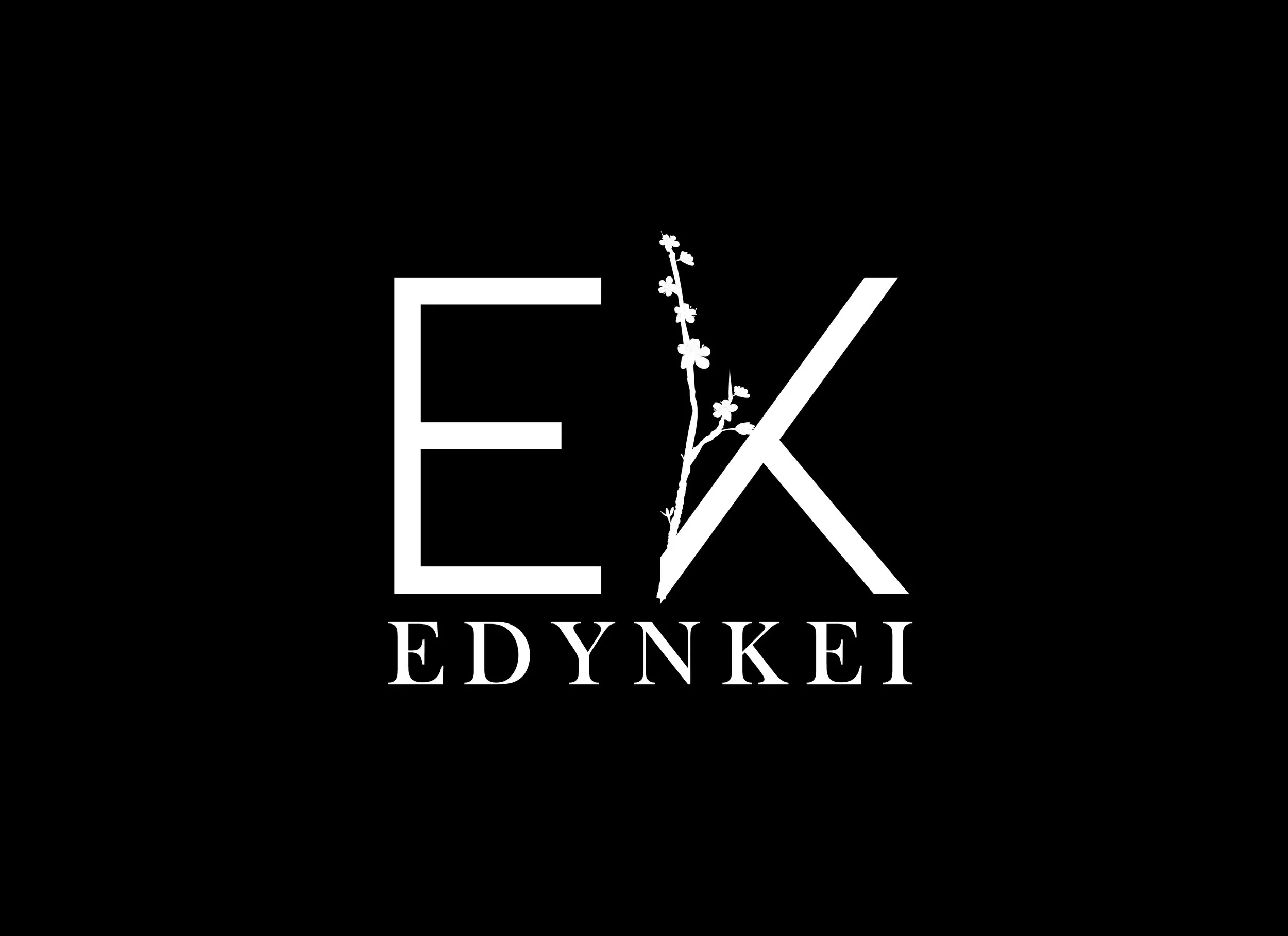 ek_3_b01.jpg