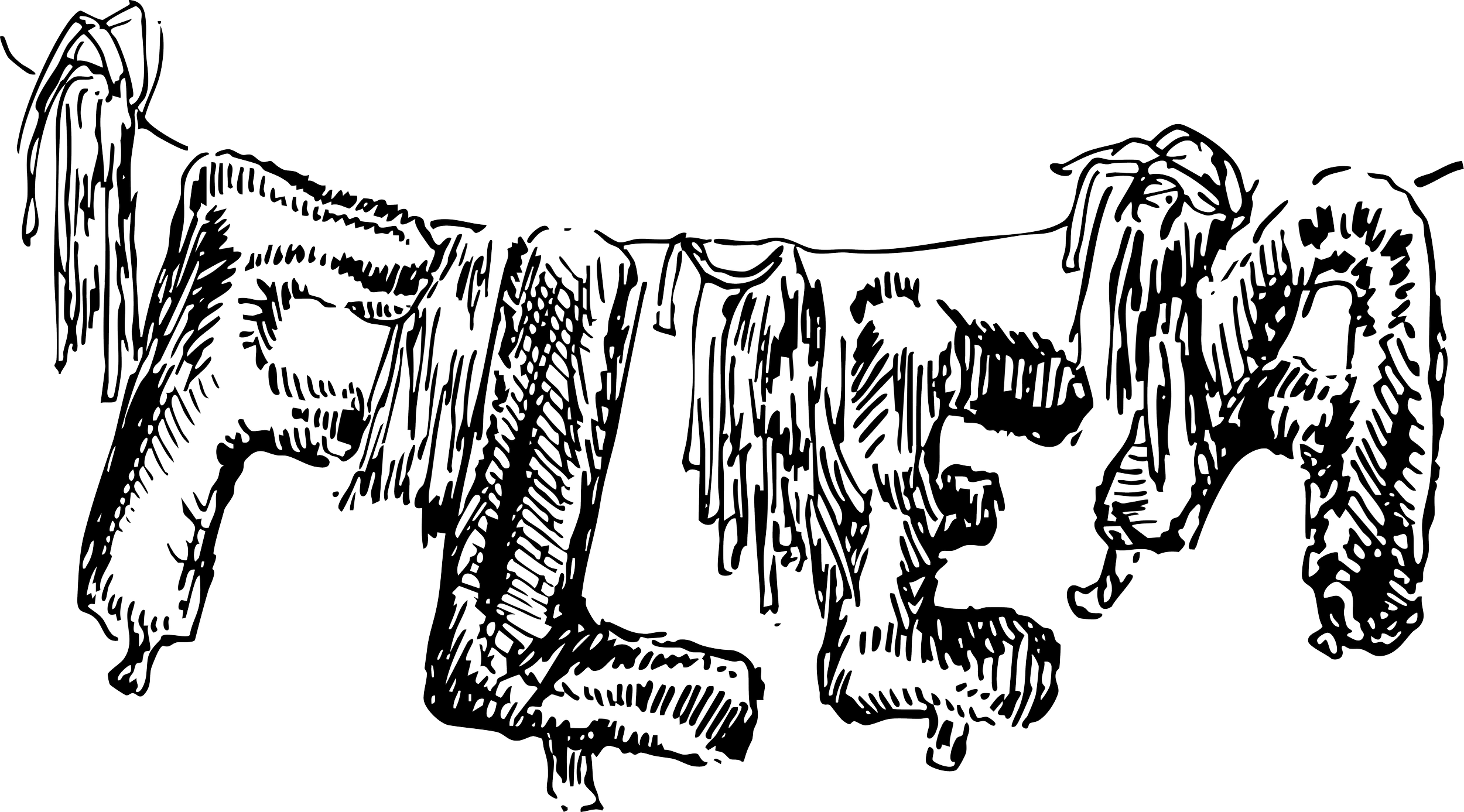 FLEA Black.png