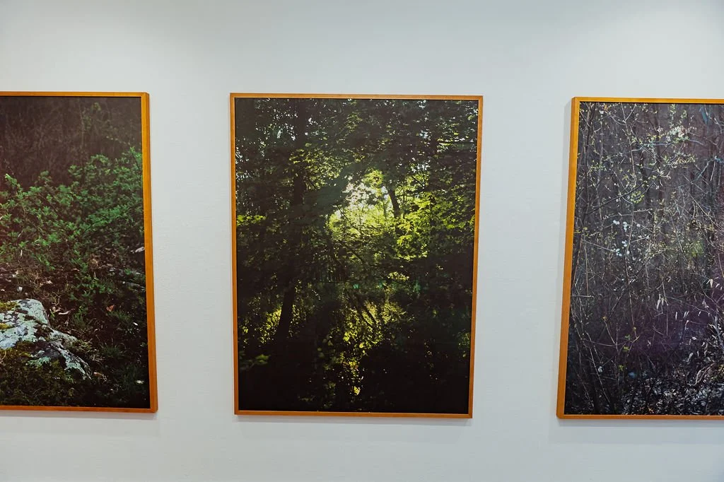 SILENCIO (A FLOWER IS NOT A FLOWER)