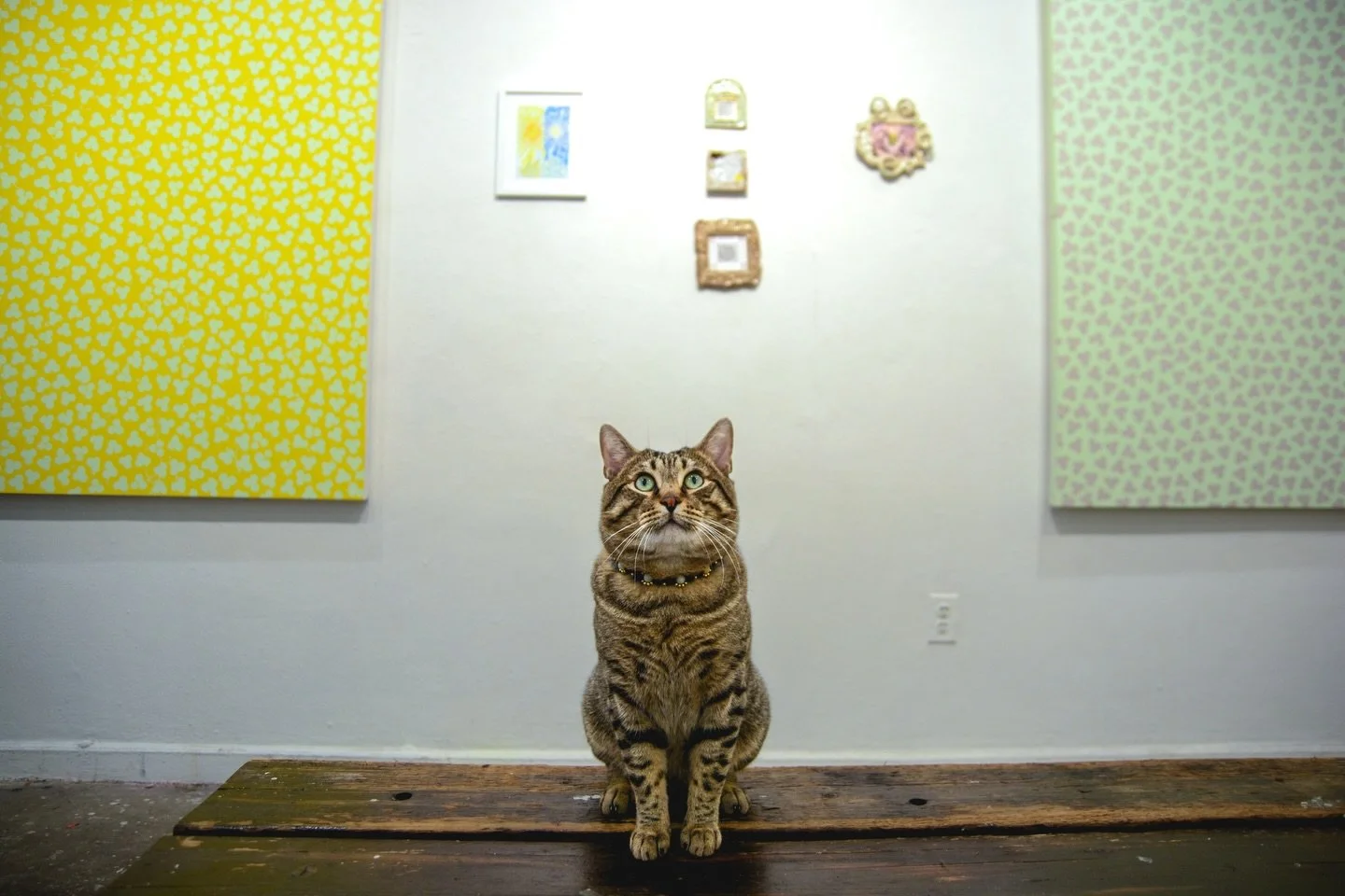 Our favorite docent is ready to welcome you at the show this week&hellip;

Painting, ceramic, and mixed media works are on view at Up Up &amp; Away ❇️❇️❇️

Feat.:
Clare Kim @clarekimart 
Megan Lee @meganjlee.art 
Yen Yen Chou @yenyenflamingooo