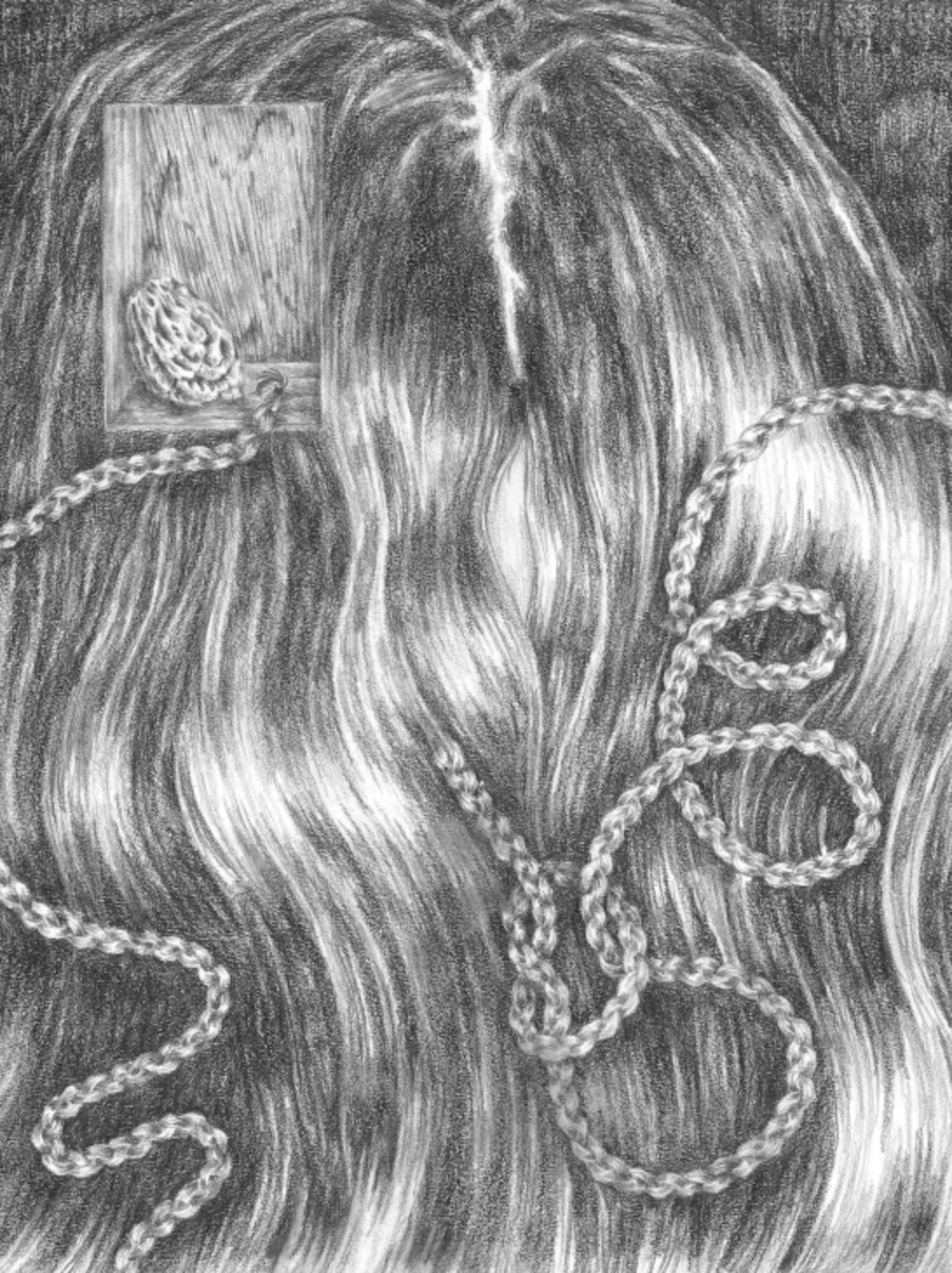 veil (1)