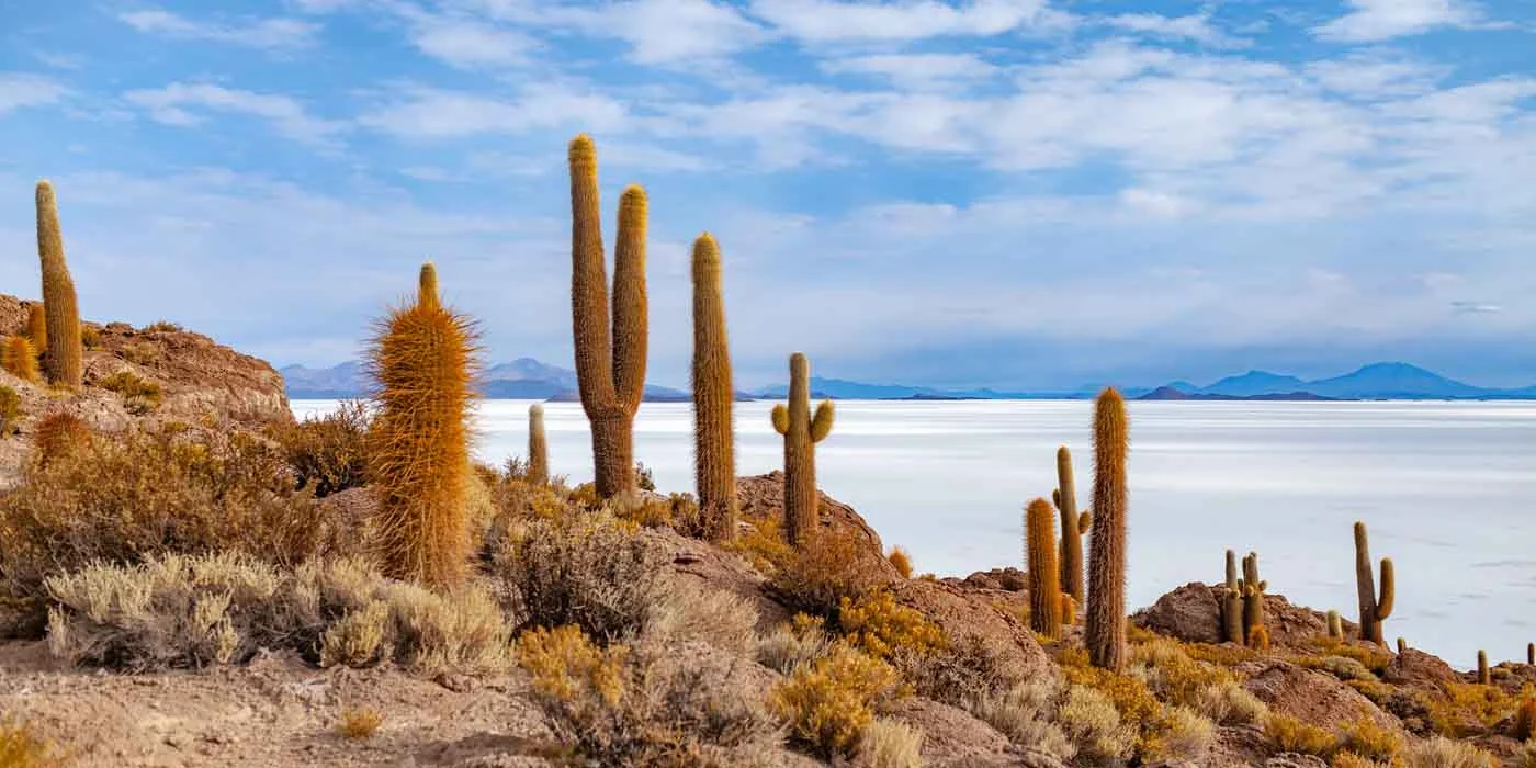 Bolivia.jpg