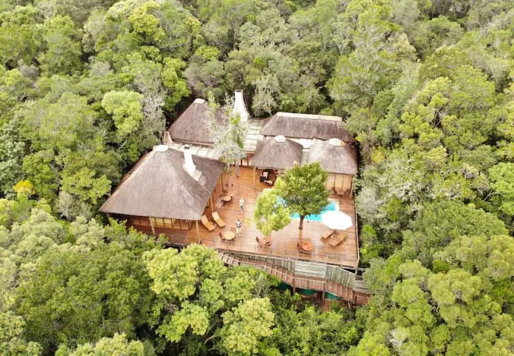 Eine sehr gut versteckte Lodge im Wald!