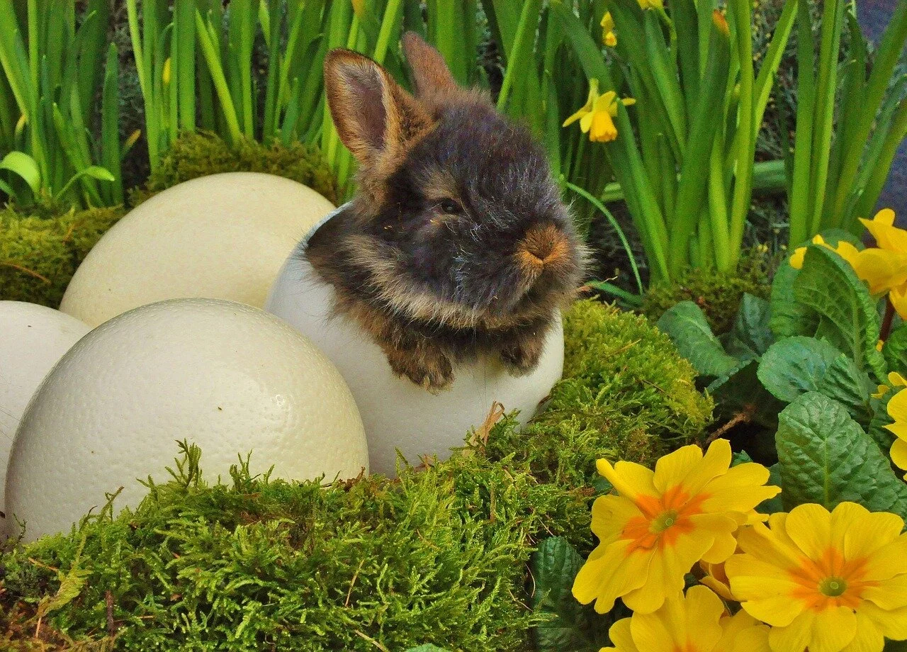Ostern im Ausnahmezustand