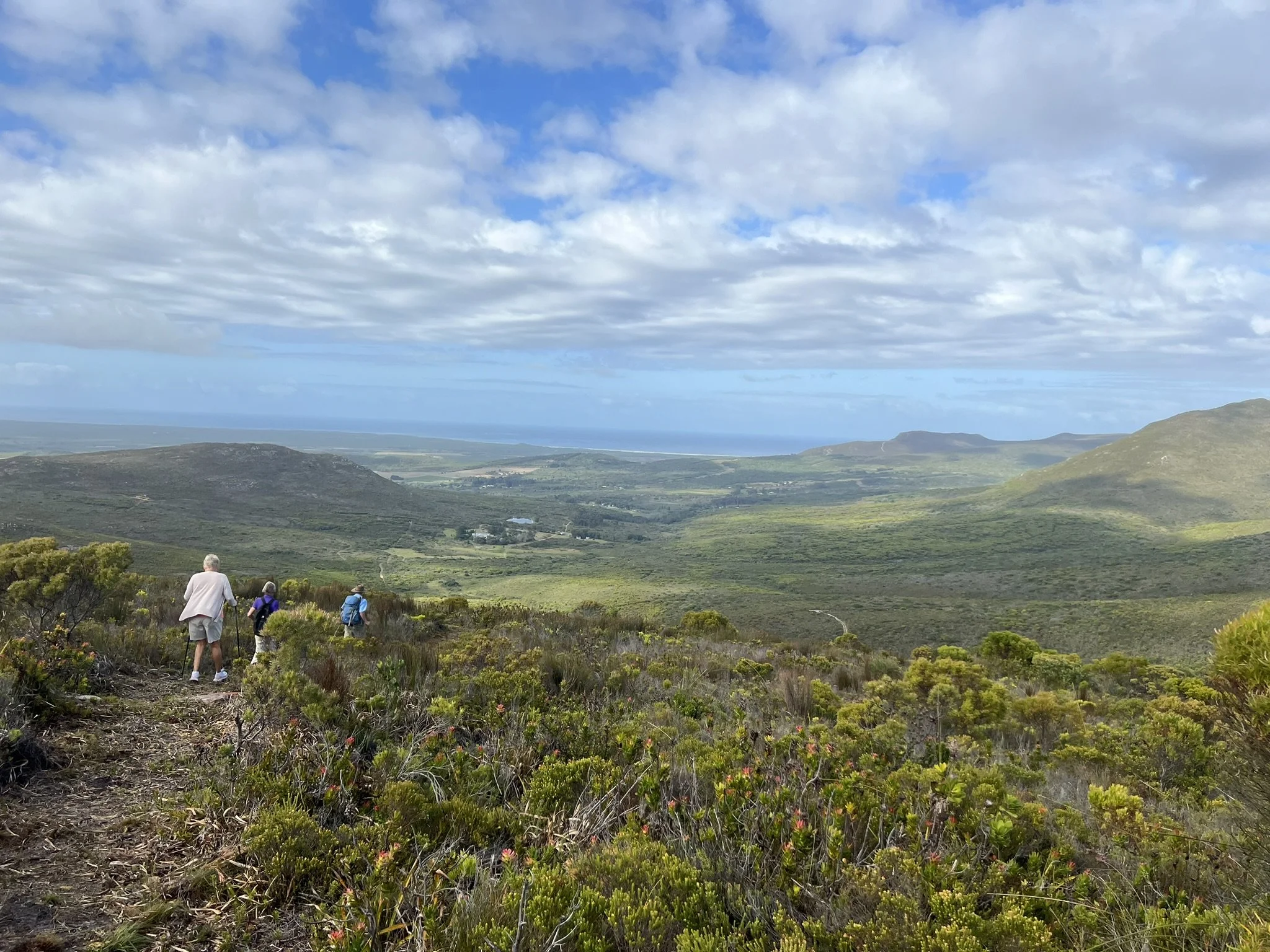 Wandern im Fynbos - Teil 2