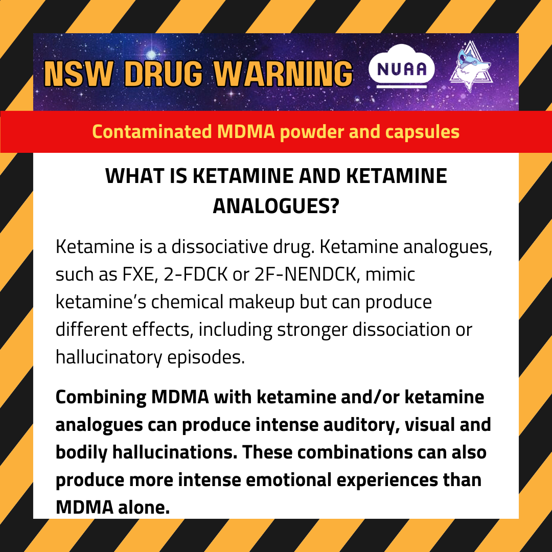 231108 DW NSW Contaminated MDMA p4.png