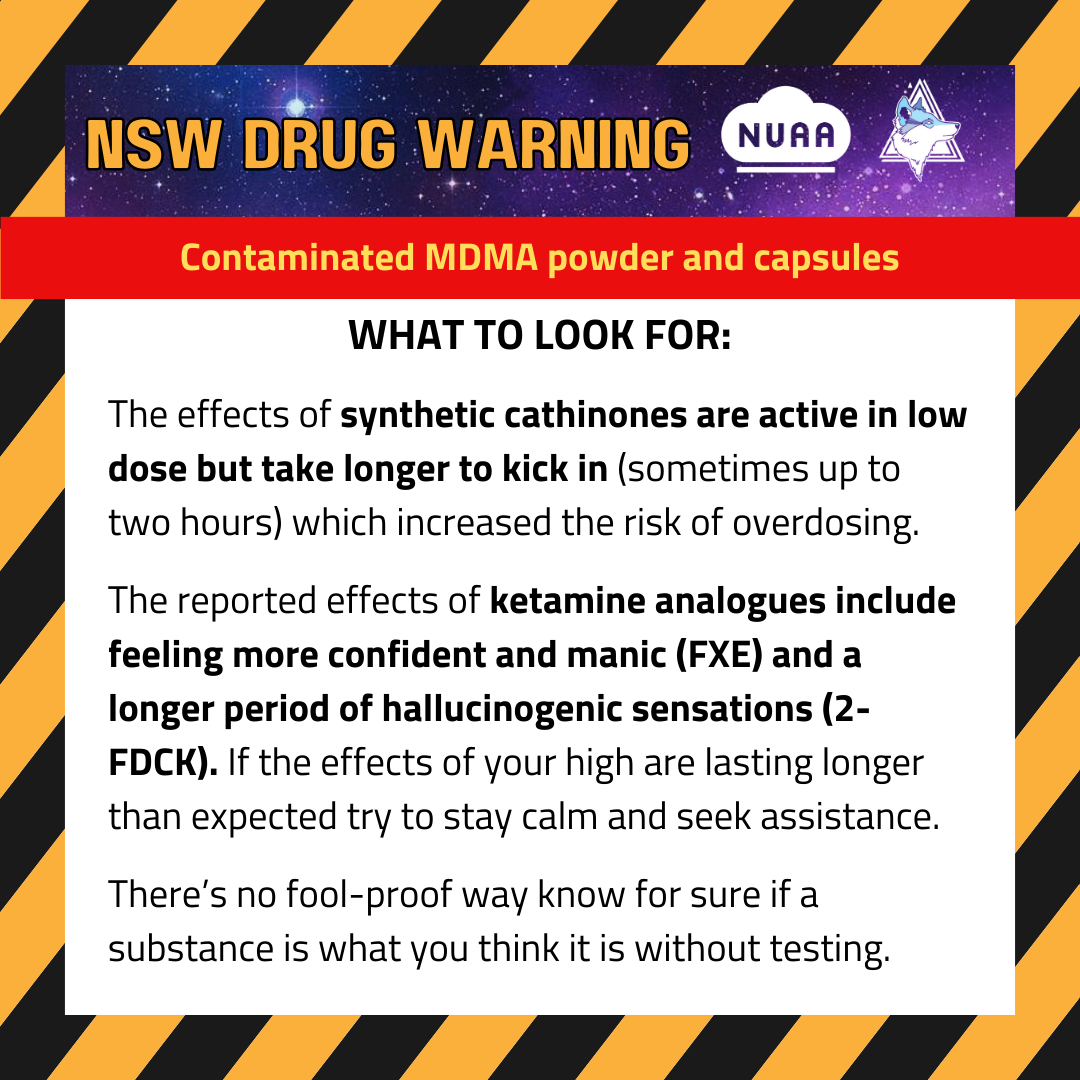 231108 DW NSW Contaminated MDMA p5.png