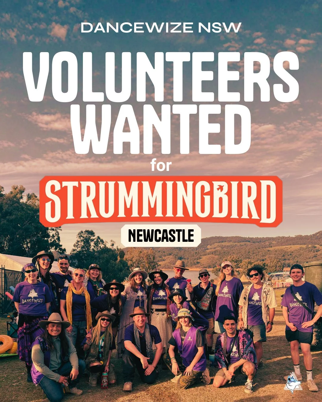 DanceWize NSW is saddlin' up to bring crowd care to @strummingbird Newcastle, and we're lookin' for some good-hearted folks to ride with us.⁠
⁠
Our volunteers get:⁠
🎟️ free festival entry⁠
🦺 free harm reduction training⁠
🐺 a chance to work with a 