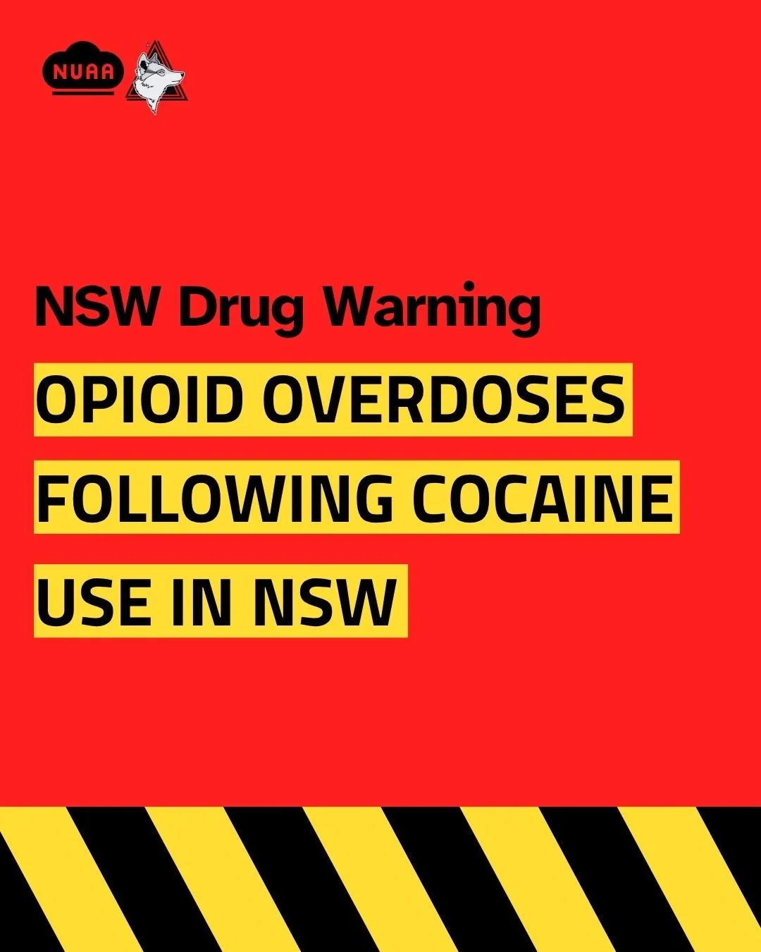 Drug Alert: Opioid Overdoses Following Cocaine Use in NSW