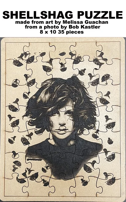shellshag puzzle pic.jpg