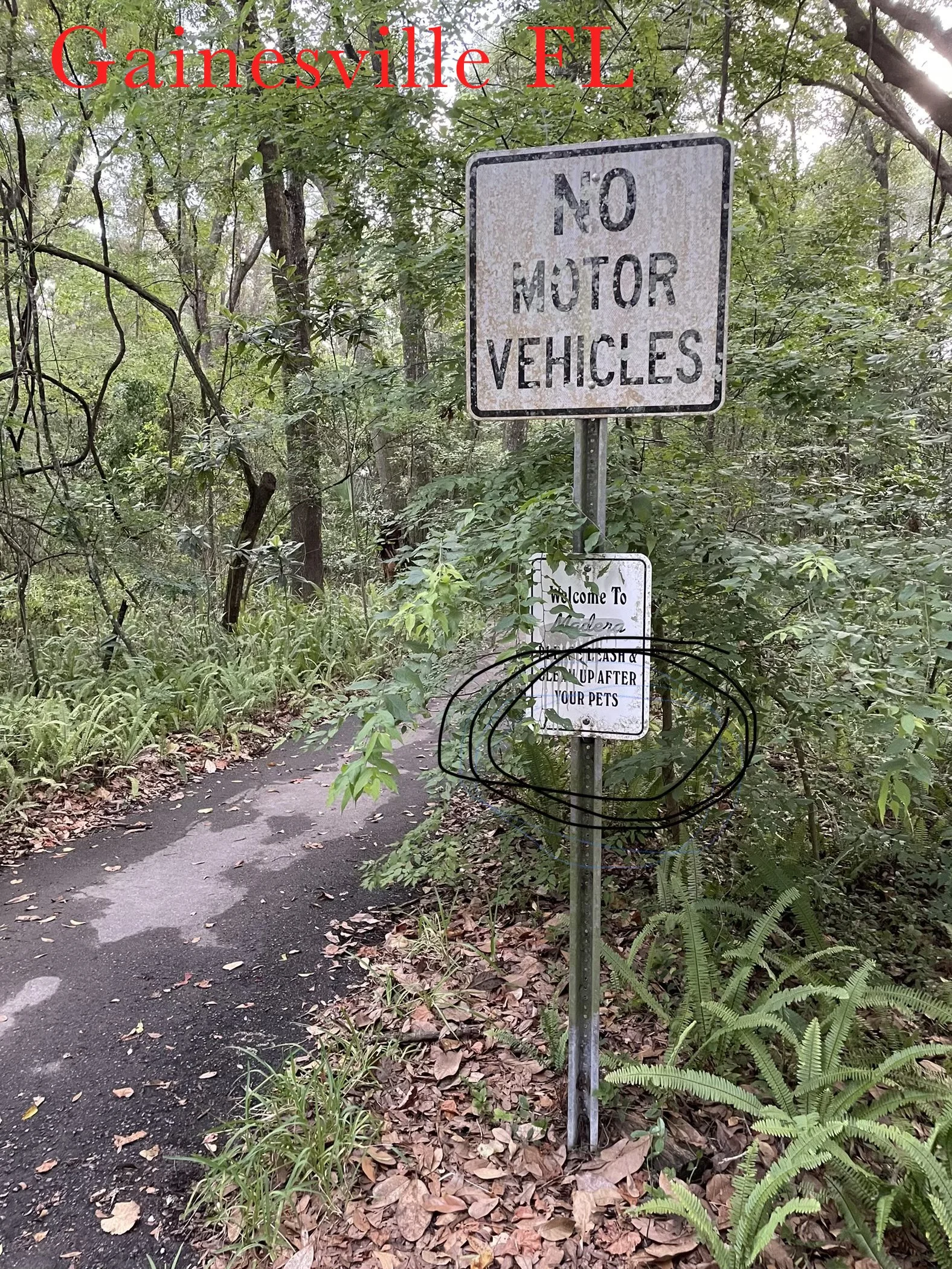 gainesville.jpg