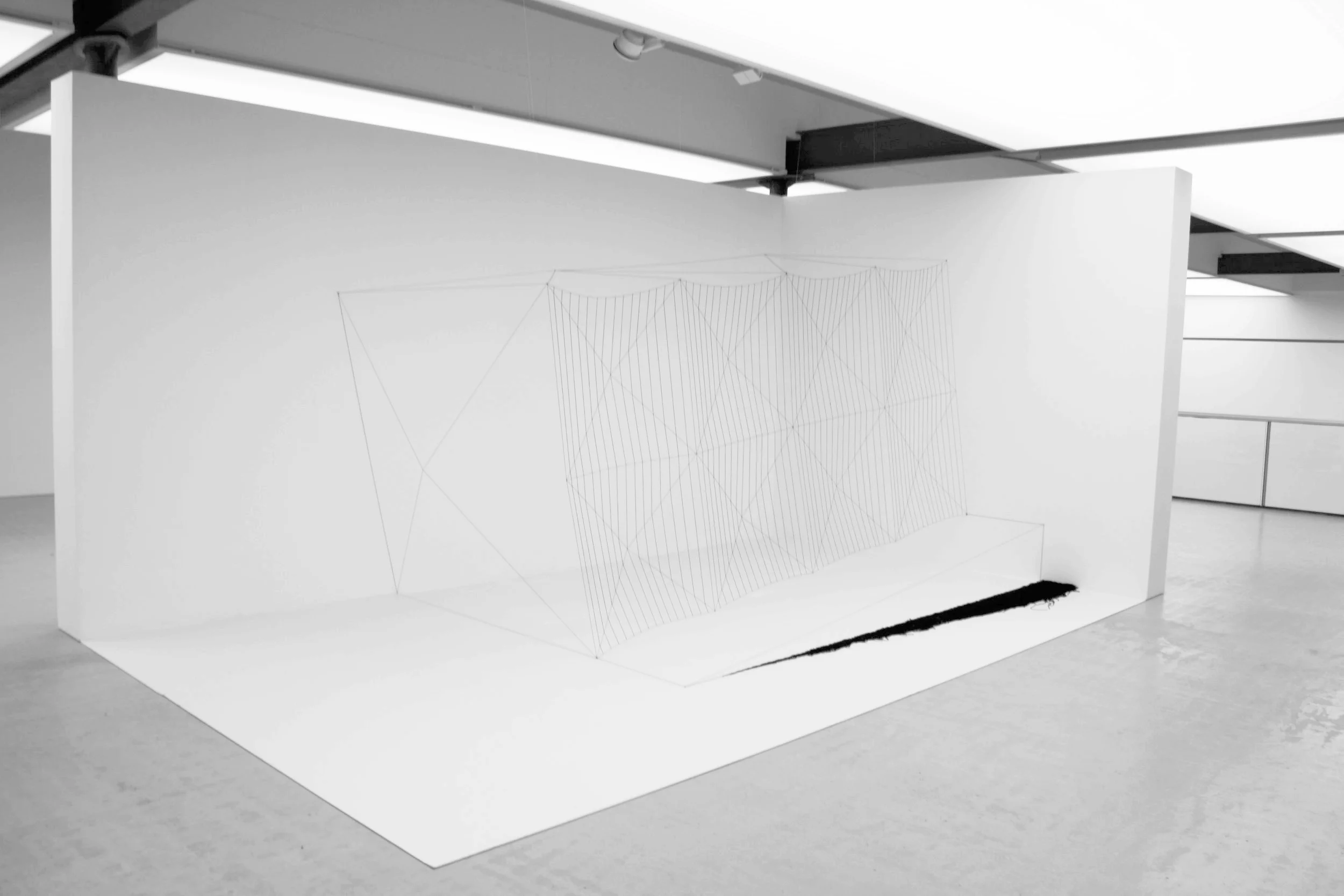    spacebox no°1  , 2014, 280x438x315 cm/ 110.2x172.4x124 in, cotton, nylon, wood, nails, paint&nbsp; 