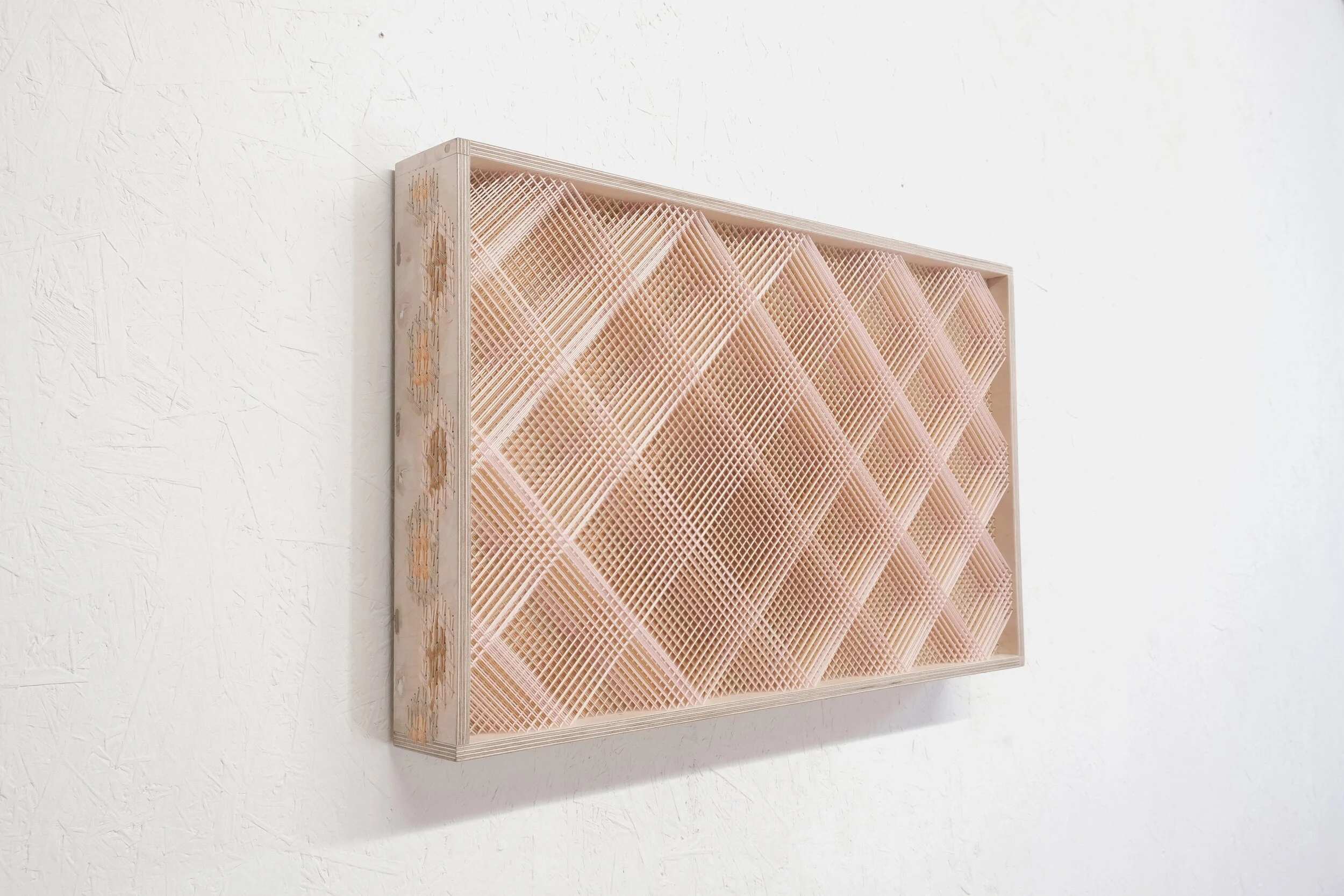   Wood&amp;Wasp , 2020, 44x73x9 cm/ 17.3.x28.7x3.5 in, cotton, wood, staples      