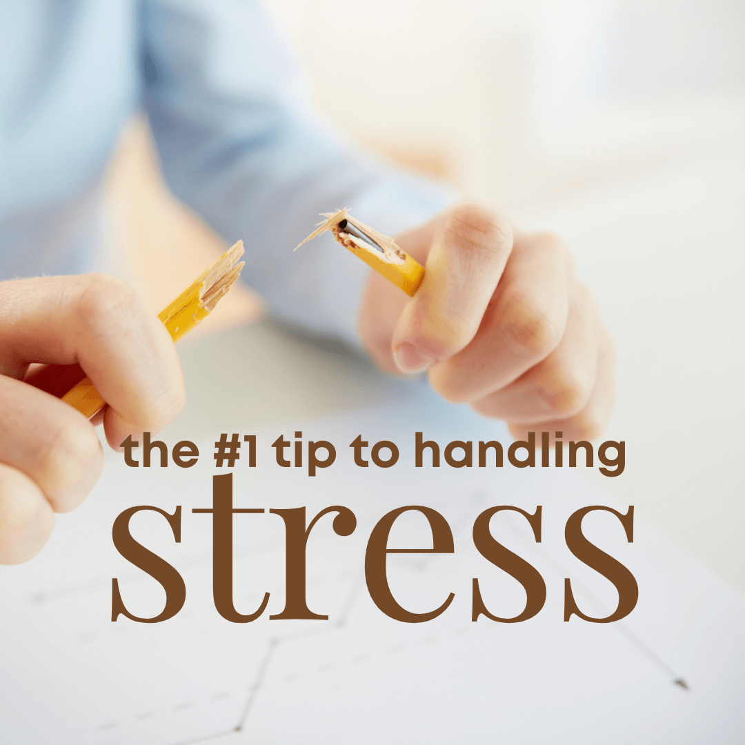 Stress Resilience: The Number One Focus to Relieve Stress in Menopause