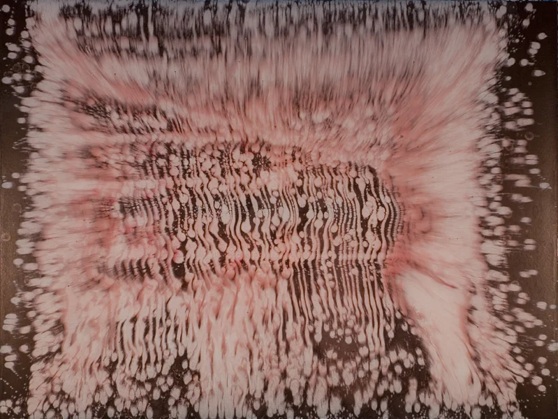 mb11 51” x 66” Oil on Canvas