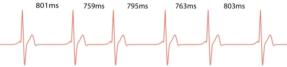 fullsizeoutput_7f1.jpg