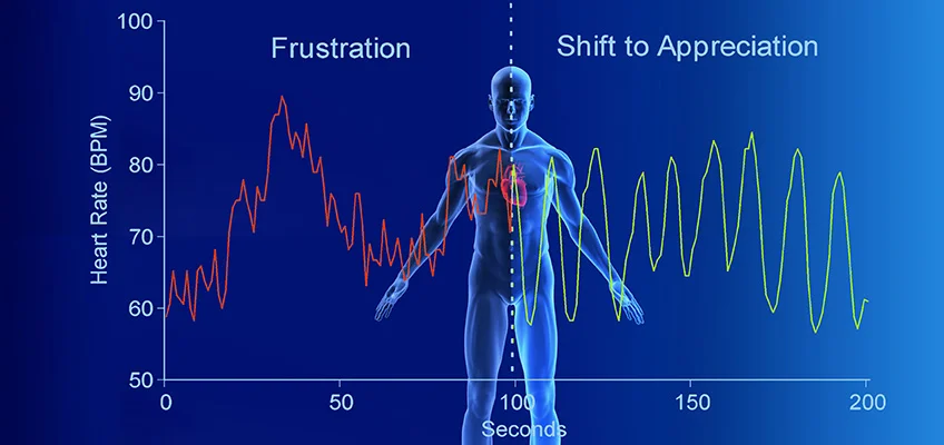 Shifting to a state of coherence and appreciation activates the parasympathetic response, raises HRV and over time helps you become more adaptable in the face of threat, challenge or stress.