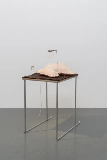 Nobuko Tsuchiya, Echo Plantation, 2014, Mixed media, h.113 x w.54 x d.76 cm. Courtesy SCAI THE BATHHOUSE