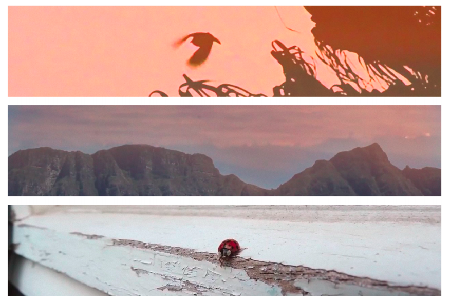 Tarryn Doherty, Tides . Courtesy of the artist and Cinéhaïku.