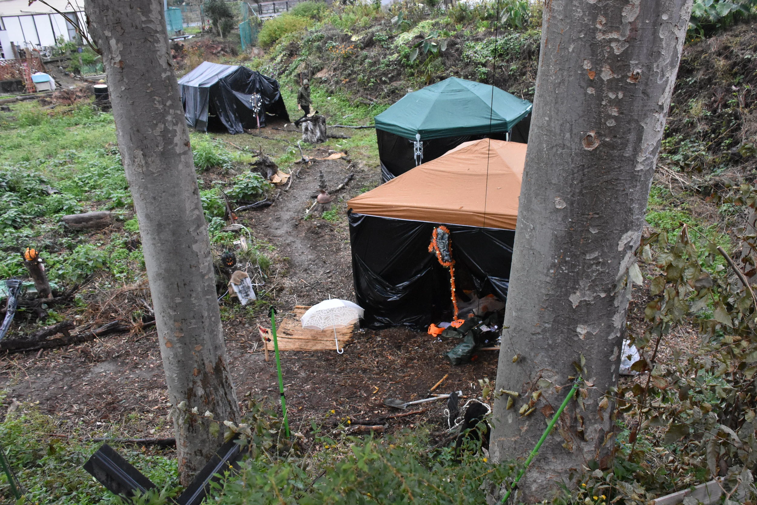 DSC_4957.JPG