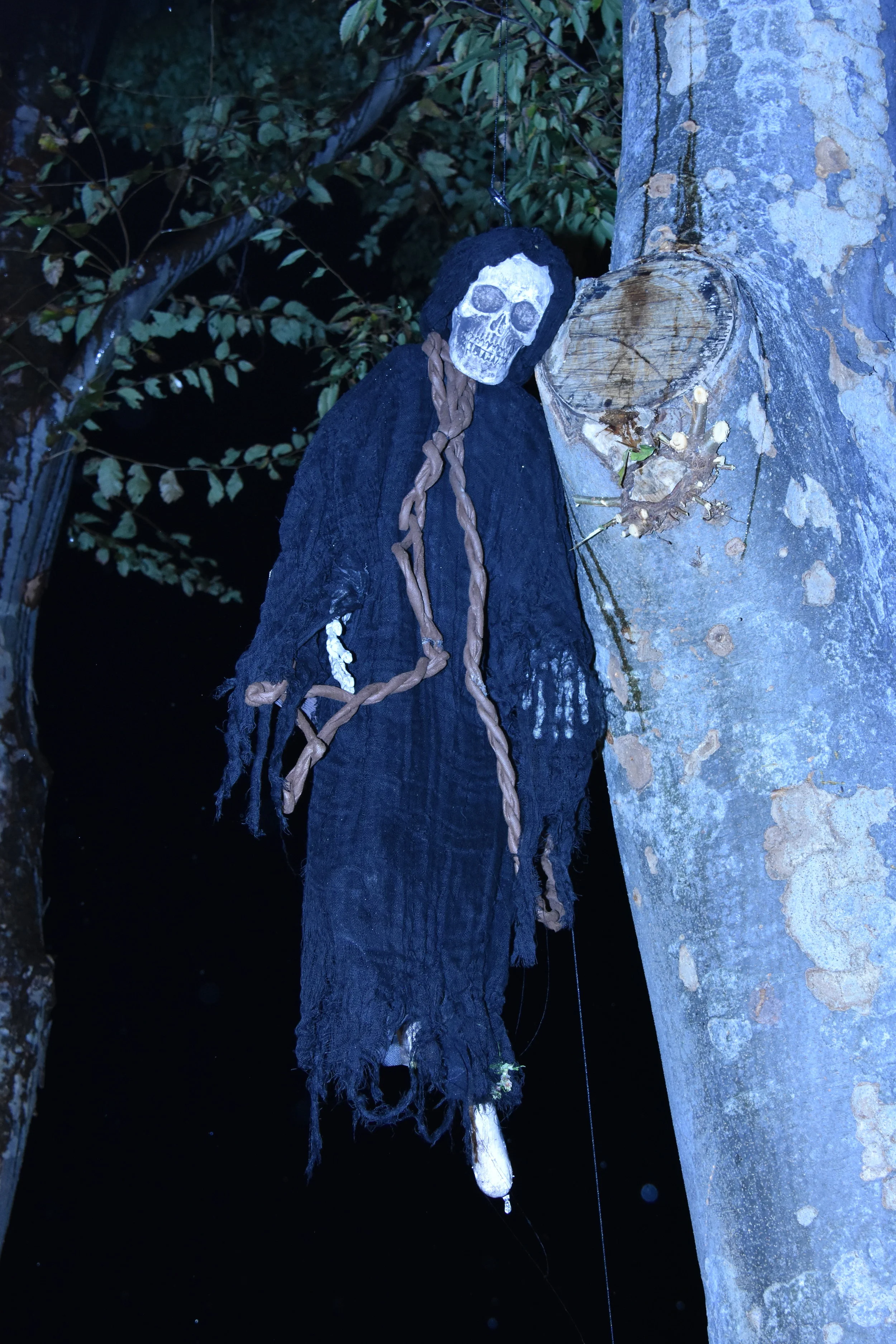 DSC_5084.JPG