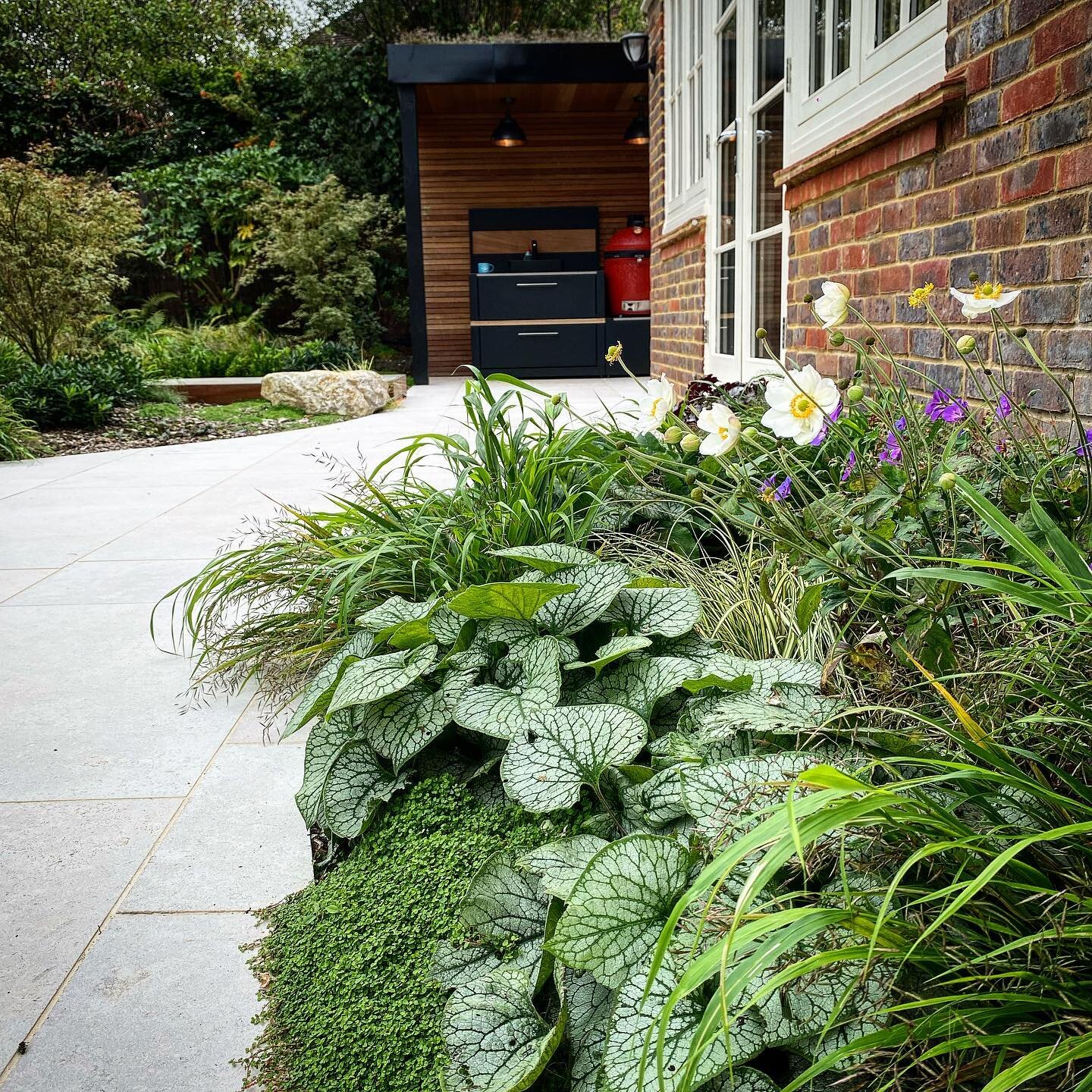 Planting: a little sneak peak of a pocket of planting in the Weybridge project we designed earlier in the year. Lots more photos to come #gardendesign #plantingdesign #plantsofinstagram