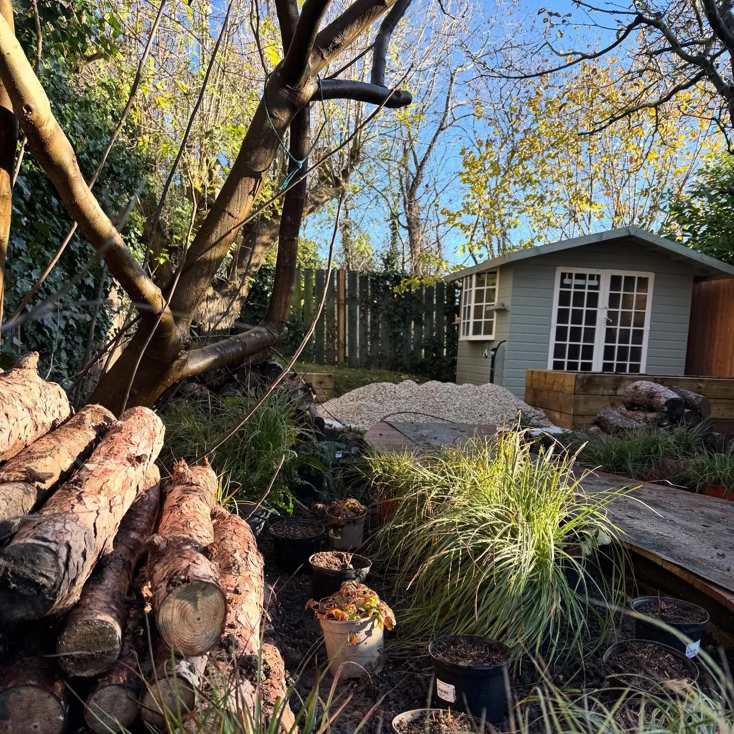 Work in progress and the sun has finally come out. Setting out the plants in the woodland zone of our Acton project. Things are really starting to come together now - great work from the team #woodlandgarden #londongarden #plantingday