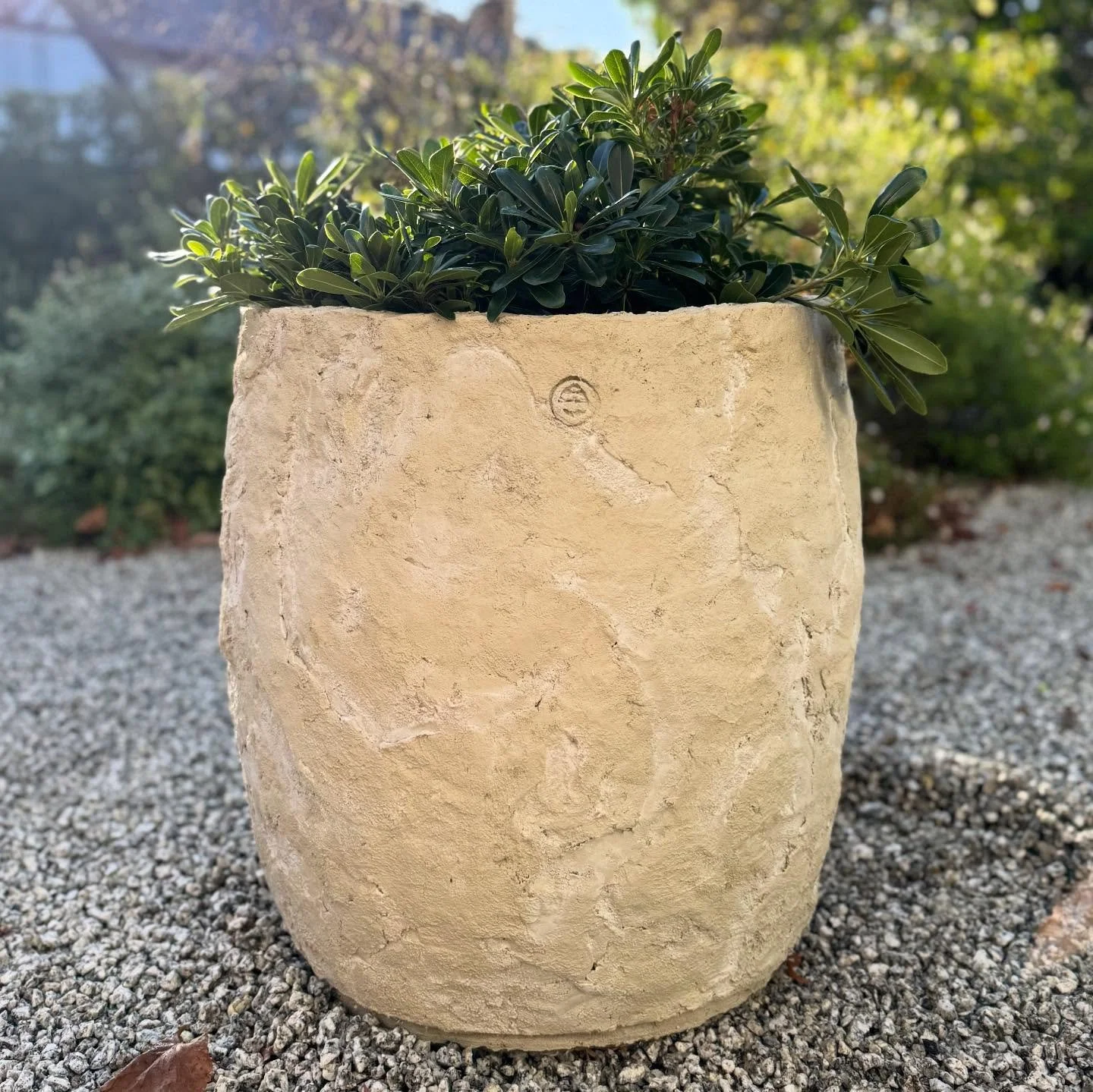 So happy with the bespoke planter from @mw9design that has taken pride of place in my front garden. These pots are truly unique, each piece handmade by the very talented Marek who I have worked with for many years. If you&rsquo;re looking for somethi