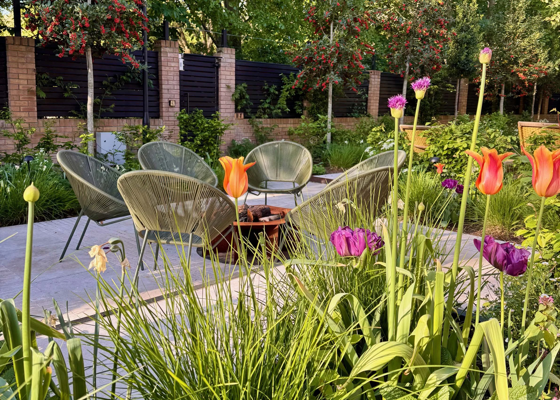 The Woodland Edge Garden