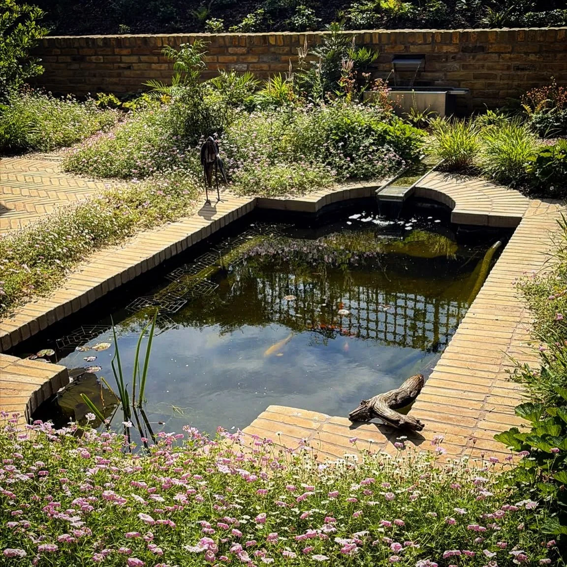 Lovely to receive these photos of our Crouch Hill project that we build during the winter when it rained non stop for weeks one end (a very distant memory). The planting has really come to life despite the relentless heat and the pond is already a ha