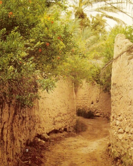 .
I visited Palmyra in Syria in about 1997. It was without doubt the most extraordinary place I have ever been to. This little path was just round the corner from the Temple of Baal. Given the horrors that have been happening in recent years in that 